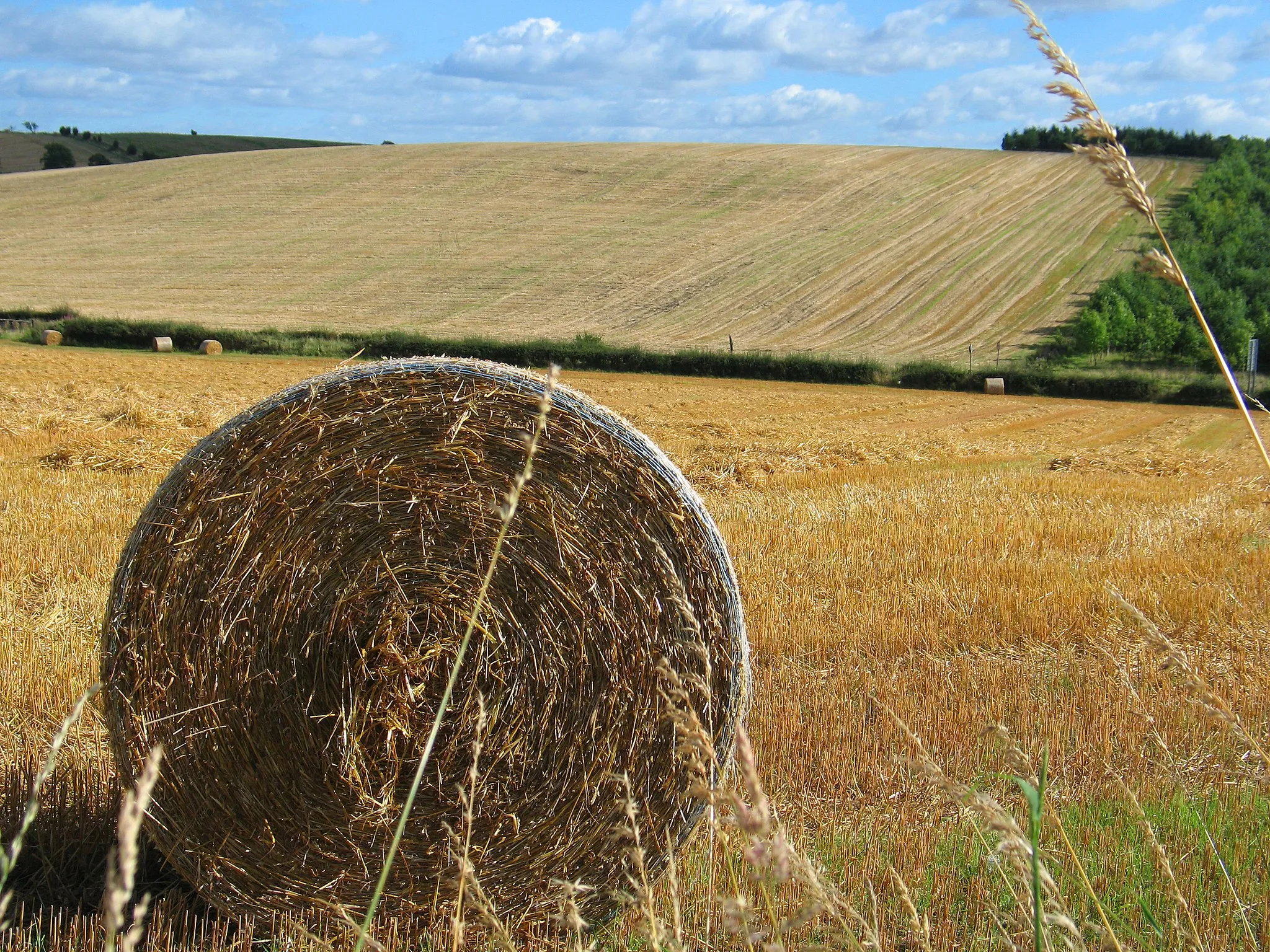Photo showing: A picture of the countryside surrounding Robroyston, in September 2007