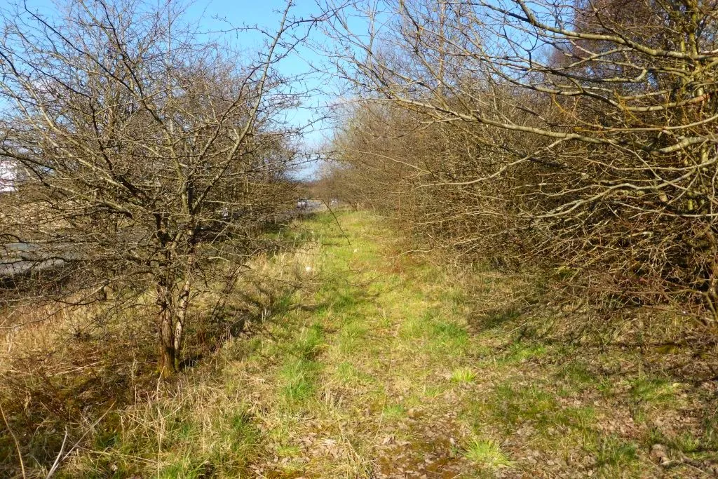 Photo showing: Gartcosh Road, old route