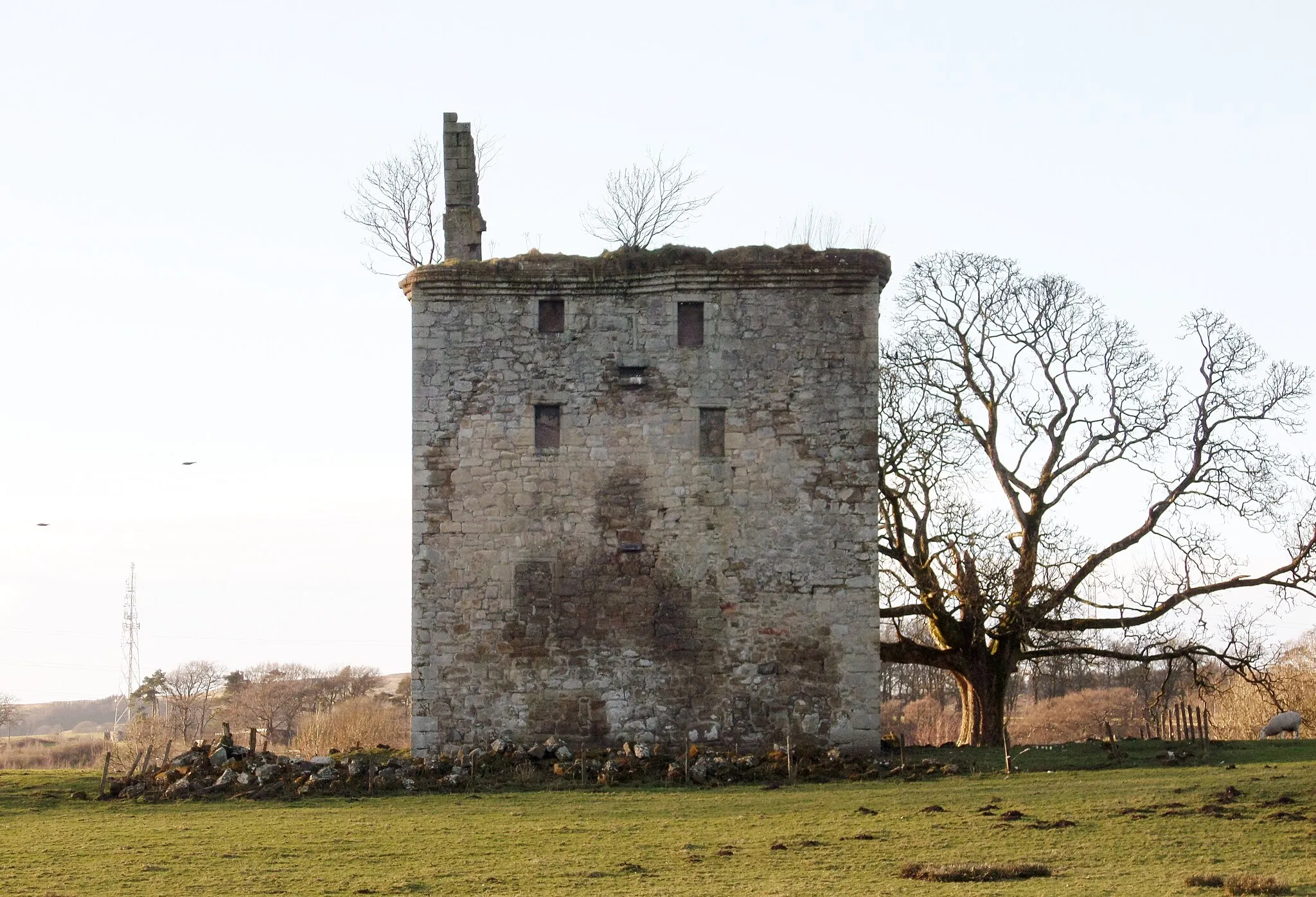 Photo showing: Barr Castle, Lochwinnoch, Renfrewshire - loch side view