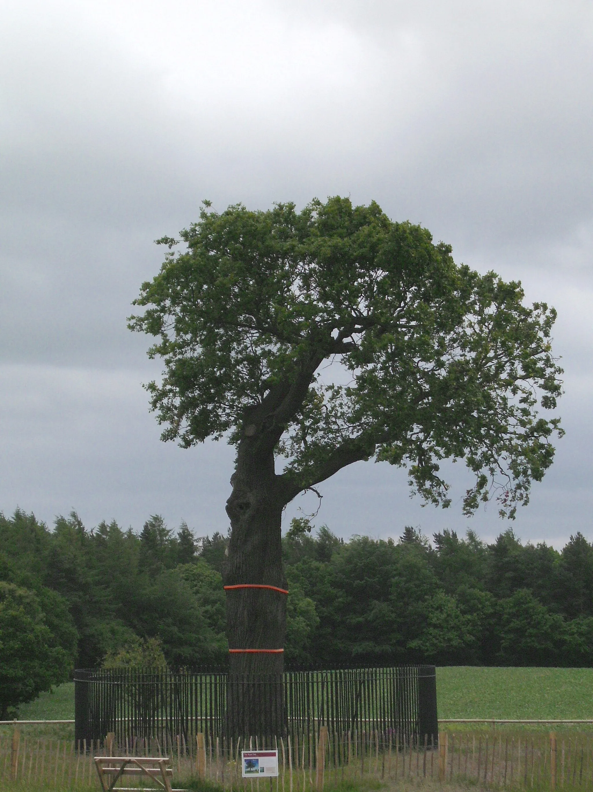 Photo showing: The Royal Oak in 2011, Boscobel House, Shropshire.