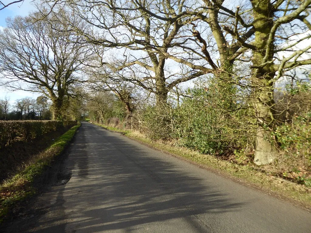 Photo showing: Birchy Leasowes Lane