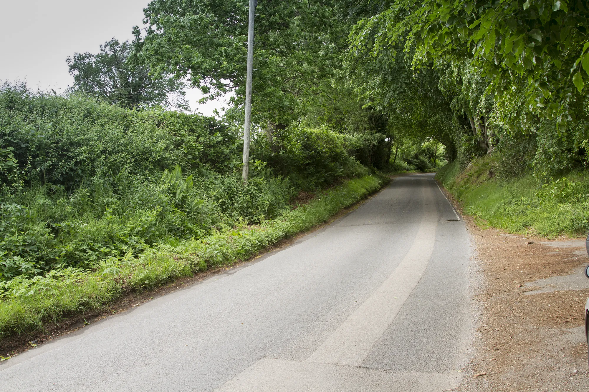 Photo showing: A country lane