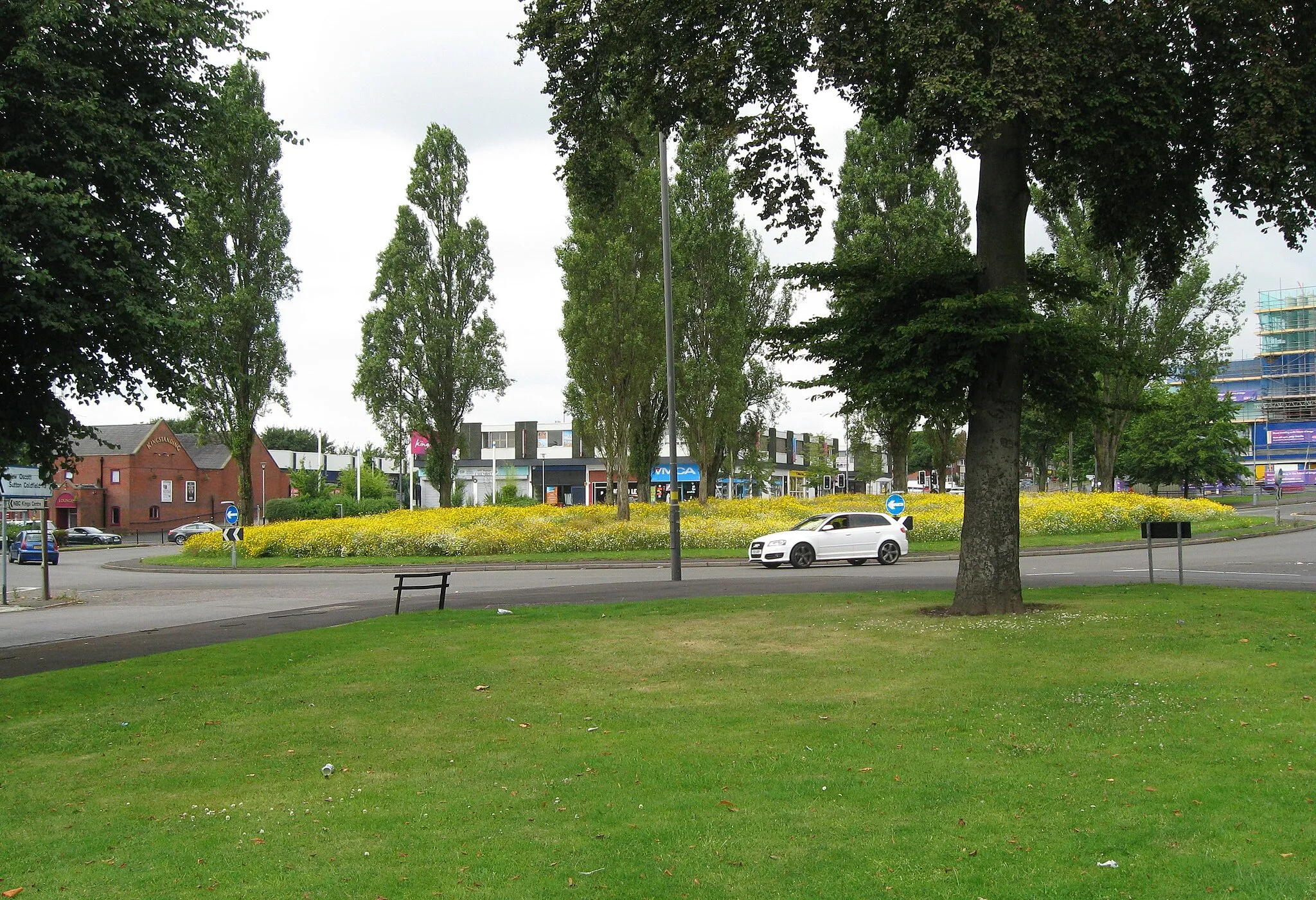 Photo showing: Roundabout flora - Kingstanding, North Birmingham