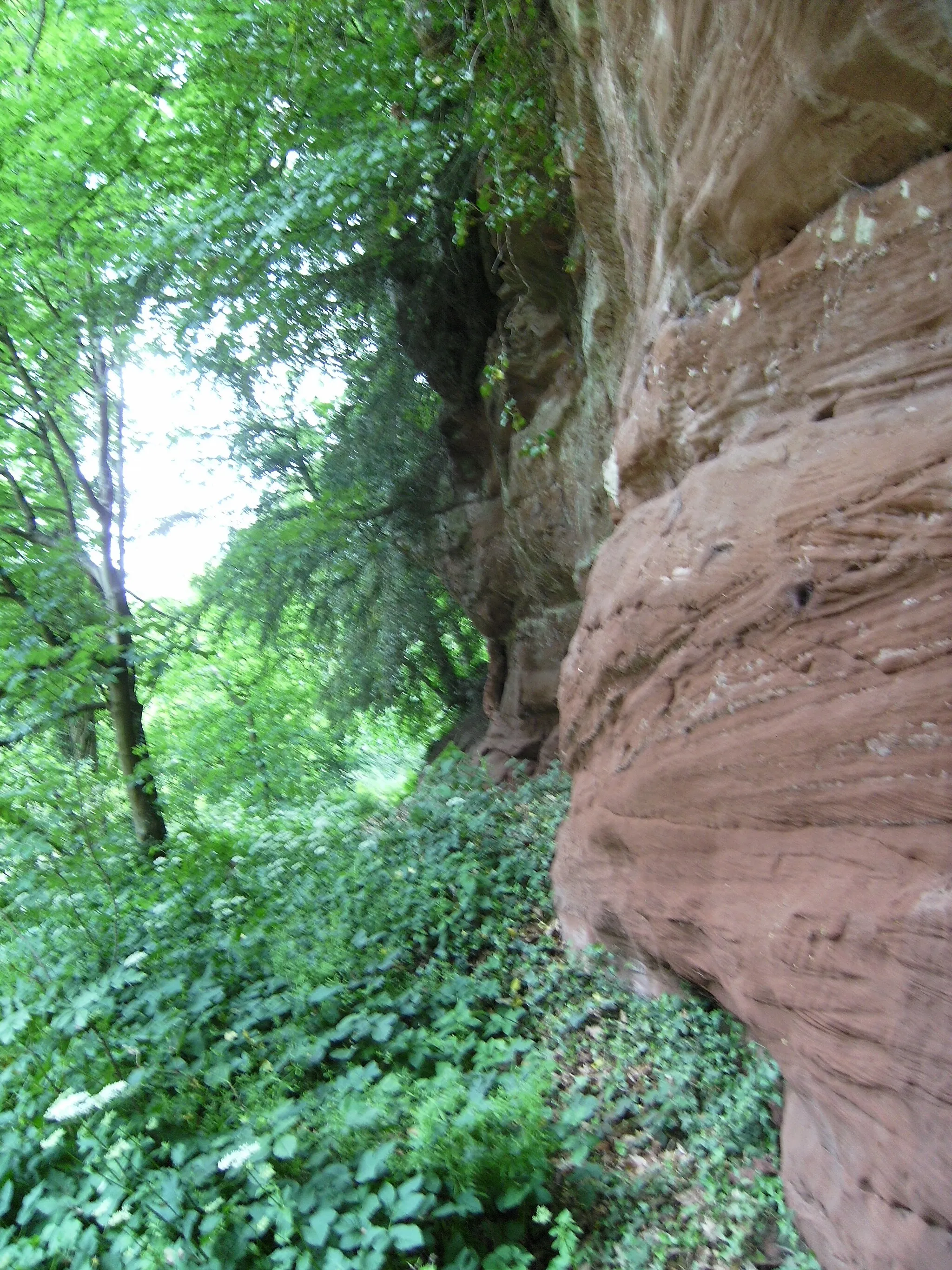 Photo showing: Weathered Upper Mottled Sandstone cliff at the Dingle, Badger, Shropshire.