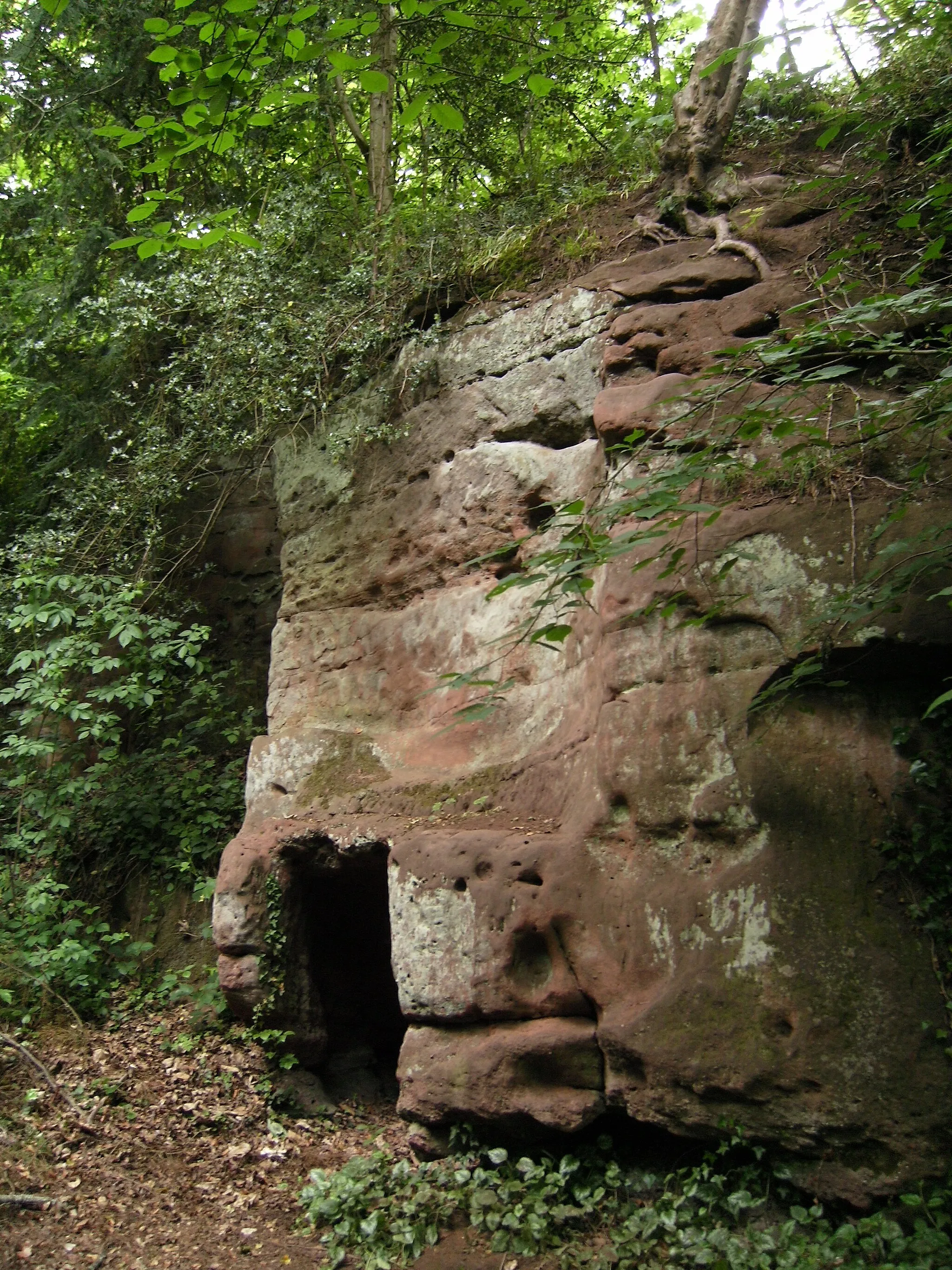 Photo showing: Sandstone outcrop with caves at the Dingle, Badger, Shropshire.