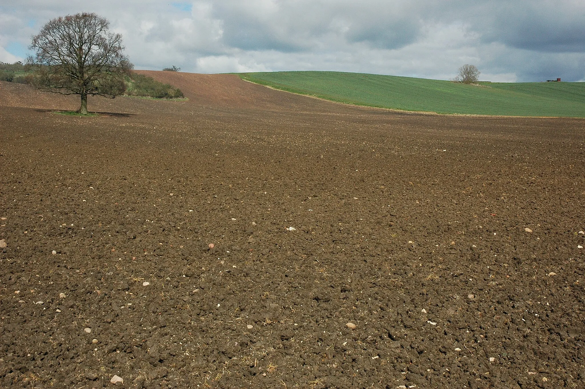 Photo showing: Arable land near Atch Lench