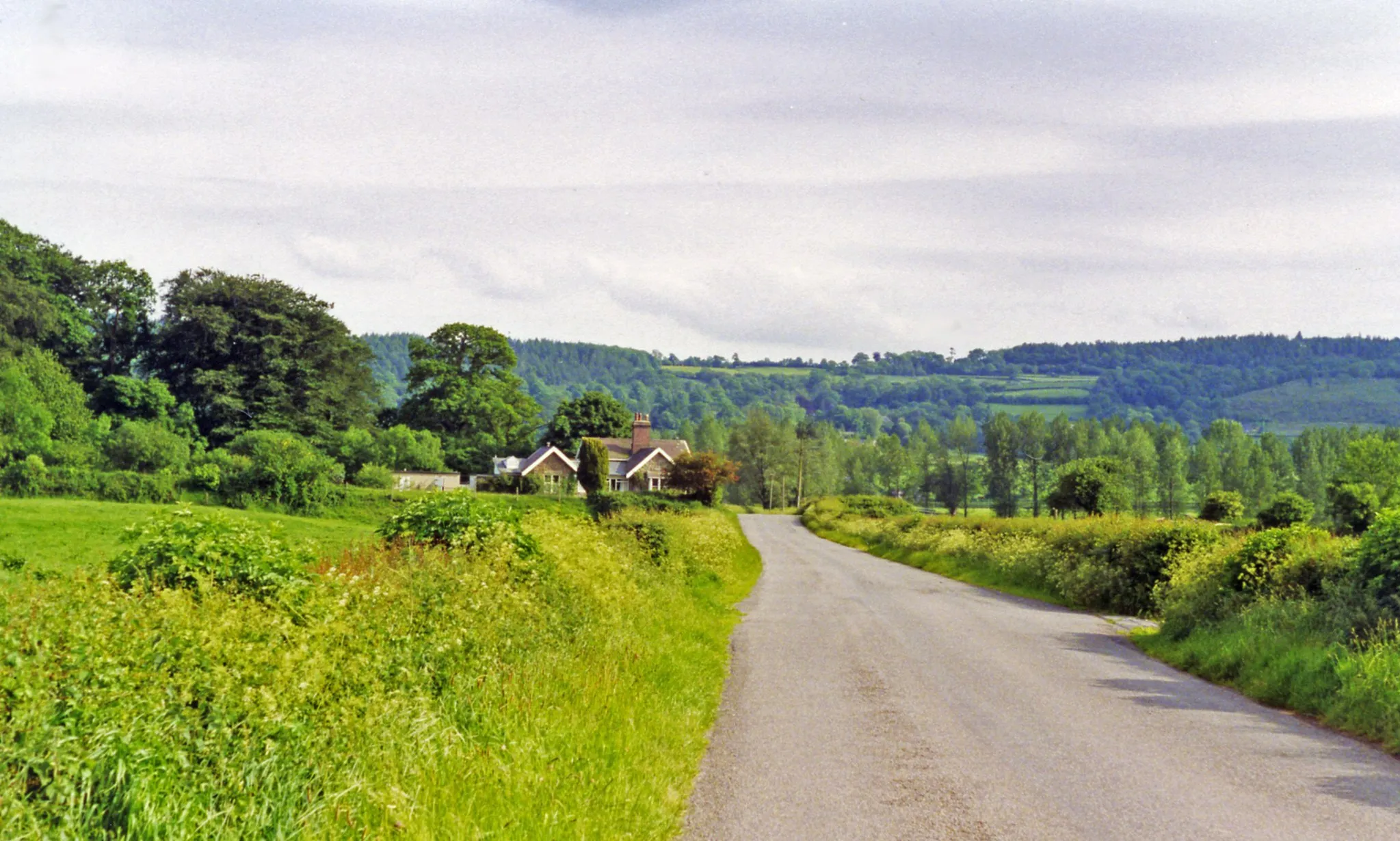 Photo showing: Approaching site of Golden Grove station, 1993.
View southward from Cilsan Bridge, towards former level-crossing over ex-LNWR branch Llandilo (to left) - (to right) Carmarthen, closed 9/9/63.