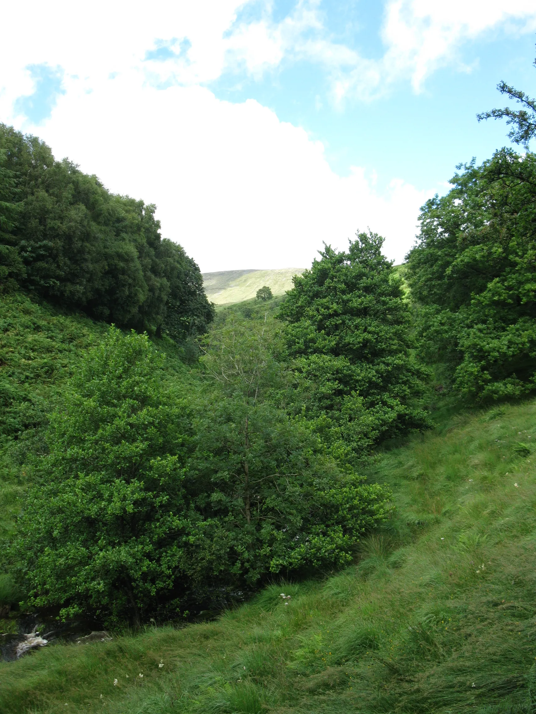 Photo showing: Caerfanell valley