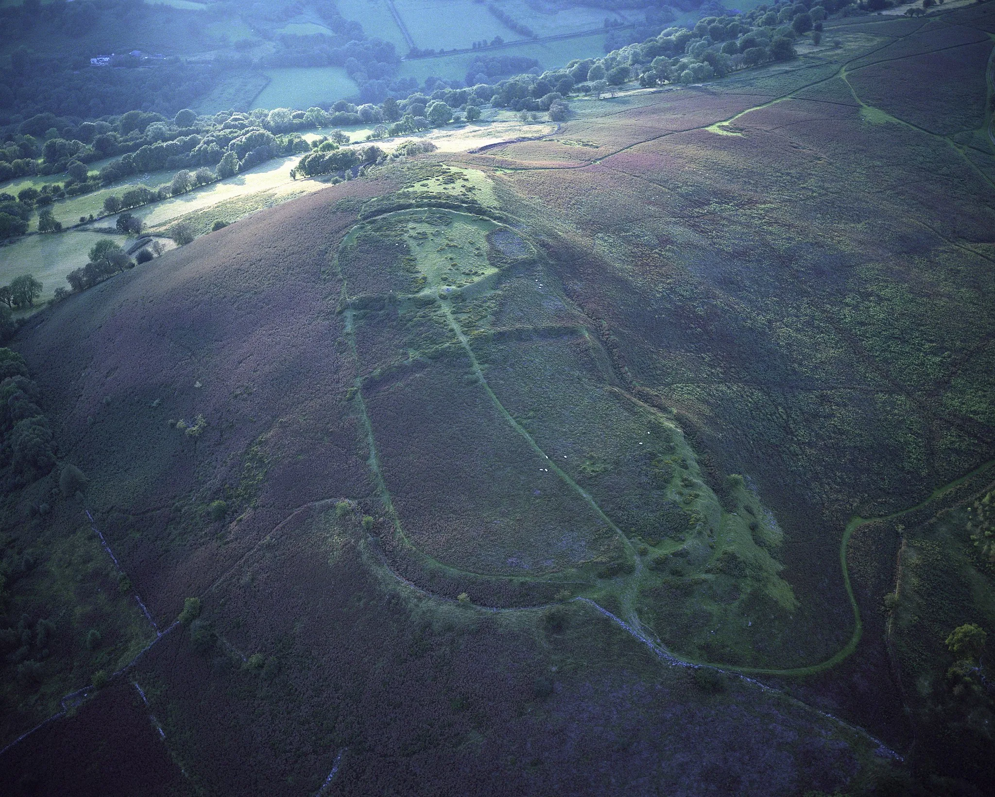 Photo showing: Twyn y Gaer Iron Age Hill Fort, situated atop the Gaer mountain, in the Black Mountains, between the villages of Patrishow (Powys) and Cwmyoy (Monmounthshire), in S-E Wales. Aerial shot taken along the east-west axis. The various sections of the fort are easily visible, as is the abundance of purple heather. Beyond the hill is the Grwyne Fawr valley.