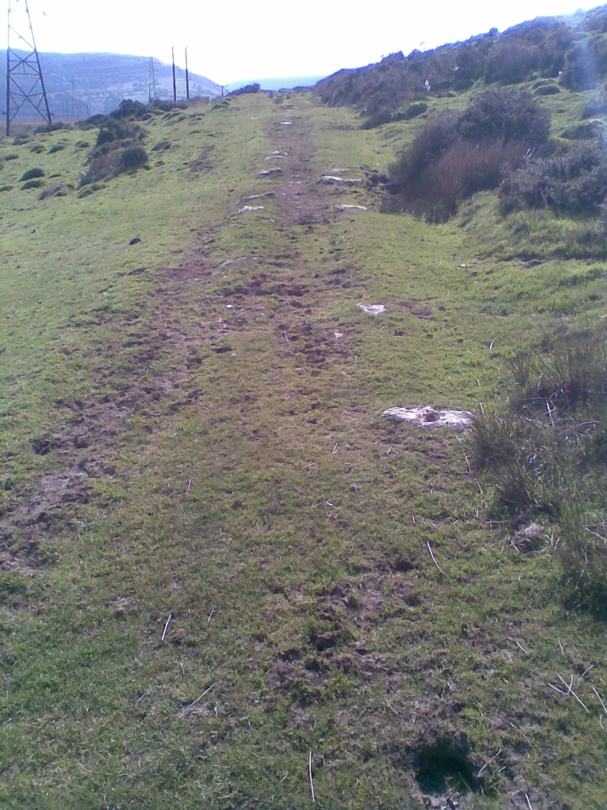 Photo showing: Brecon Forest Tramroad