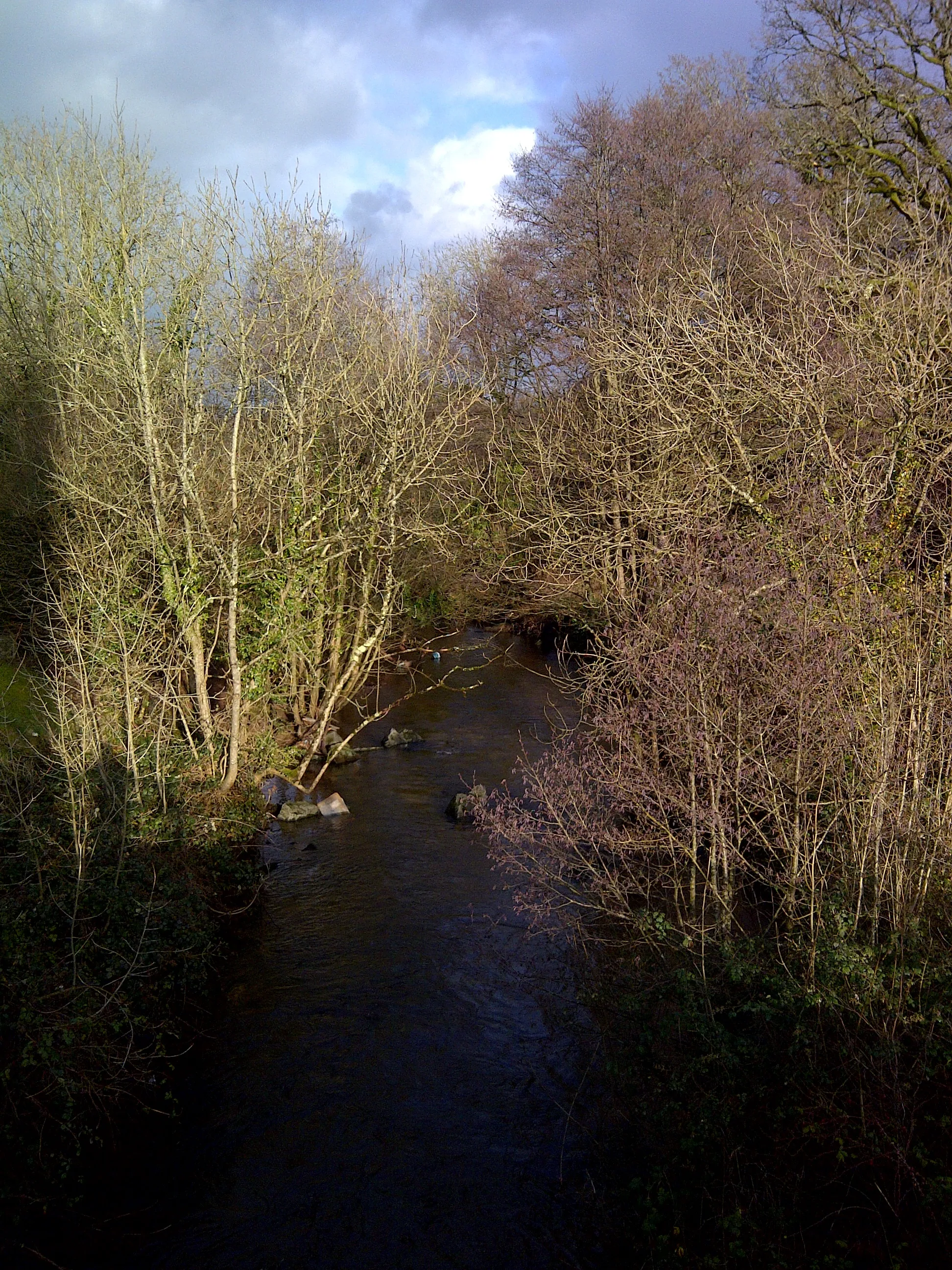 Photo showing: River Towy in Ffairfach