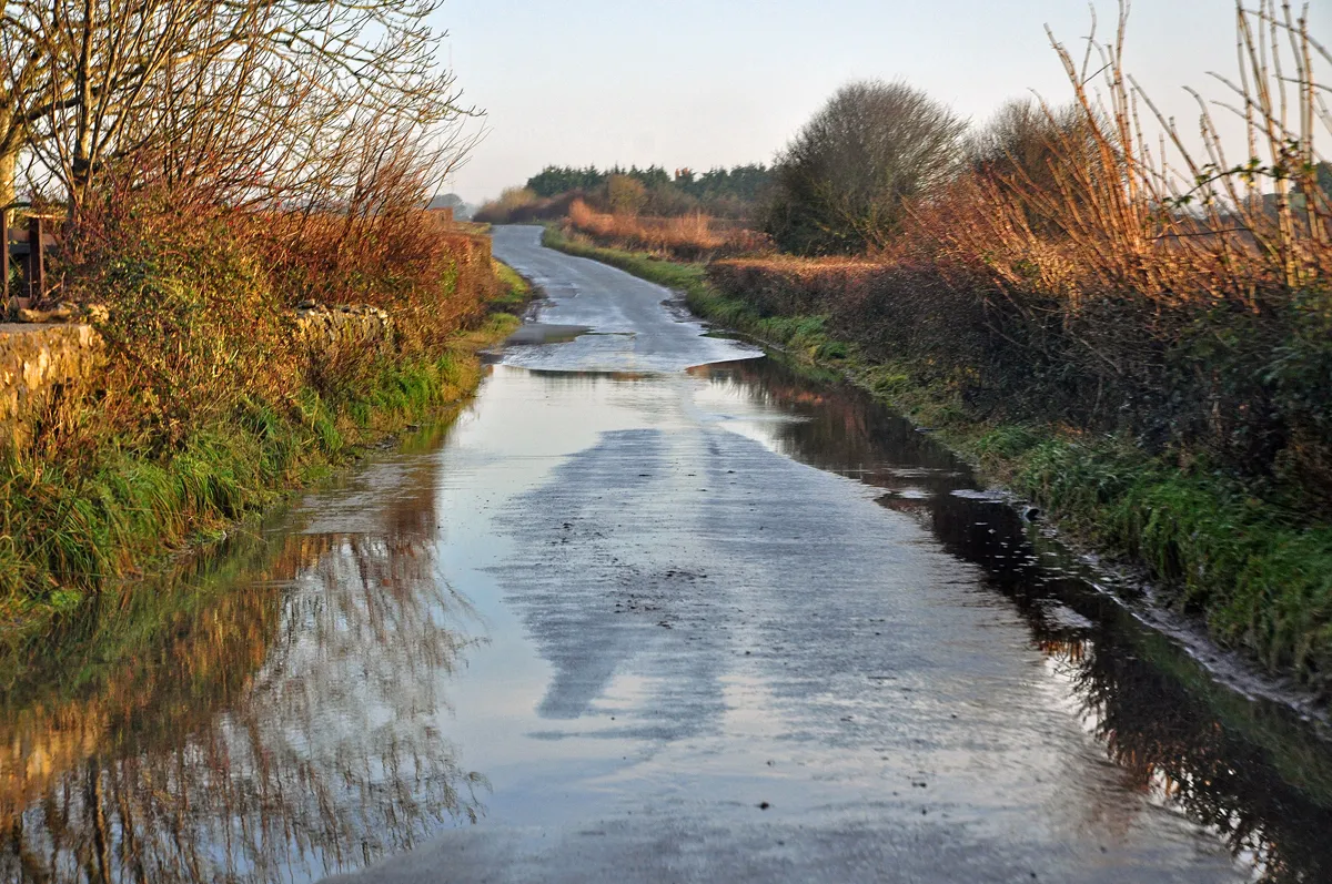 Photo showing: A flood of colour - Llanmaes