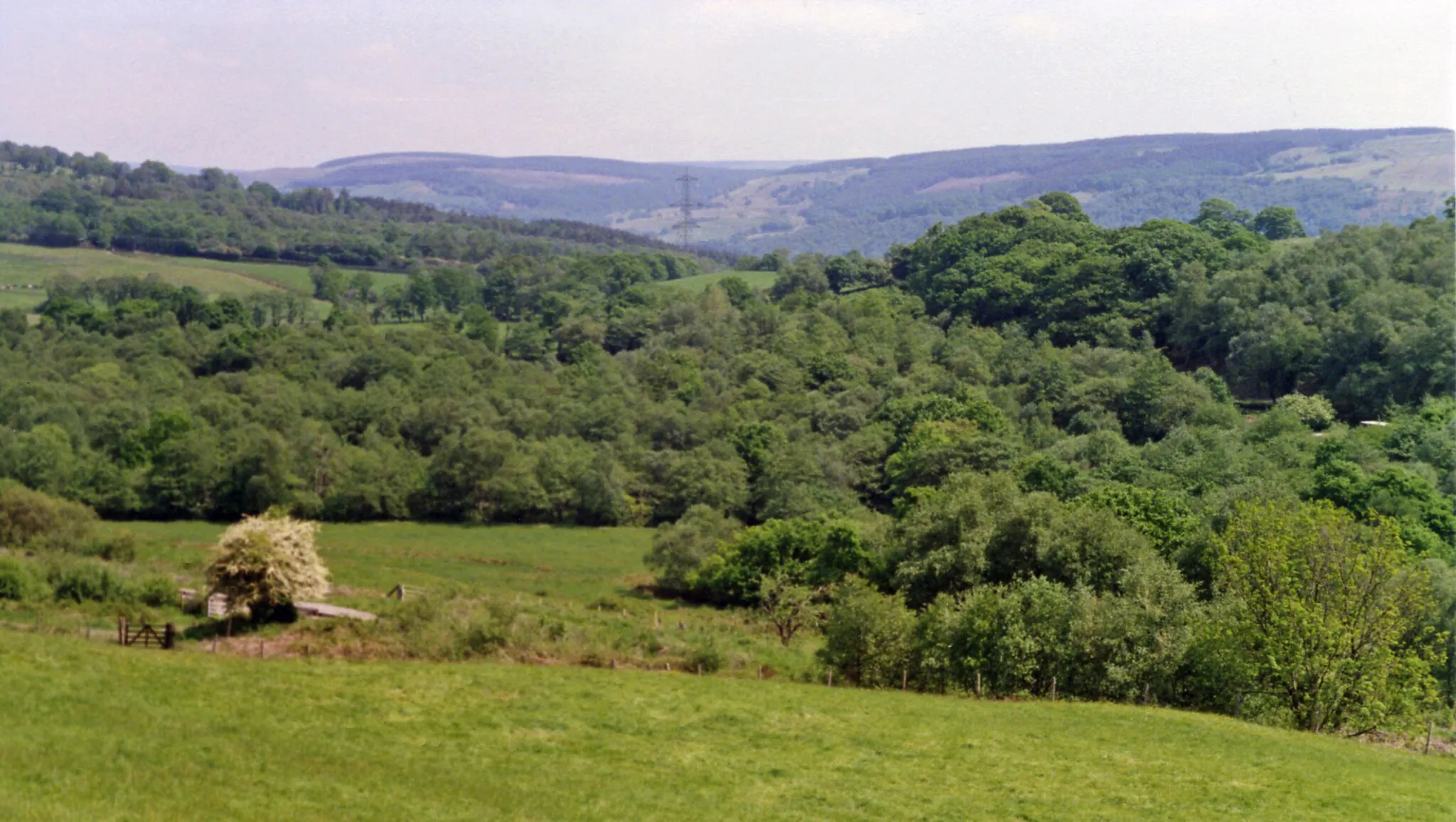 Photo showing: Eastward view past the site of Cilfrew station over Vale Neath.
The station had been in the nearer hollow and was on the ex-GW (Neath & Brecon Railway), closed 6/10/62, Neath being to the left, Colbren Junction and Brecon up the valley to the right. Further over is the Vale of Neath with the mountains beyond rising to Cefn Mawr (1,546 ft.) and Craig-y-Llyn (1,963 ft.).