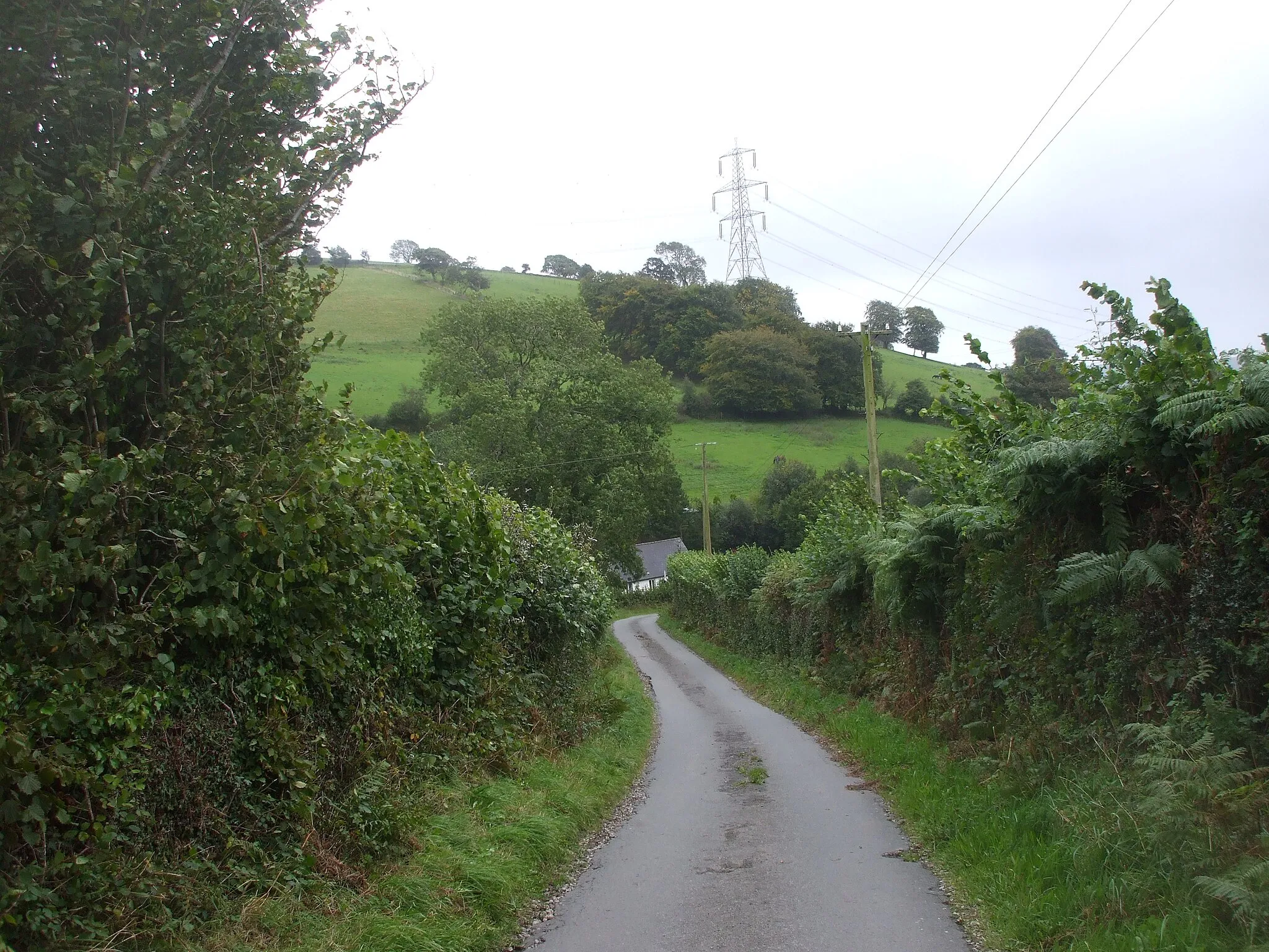 Photo showing: Looking down towards Cwm
