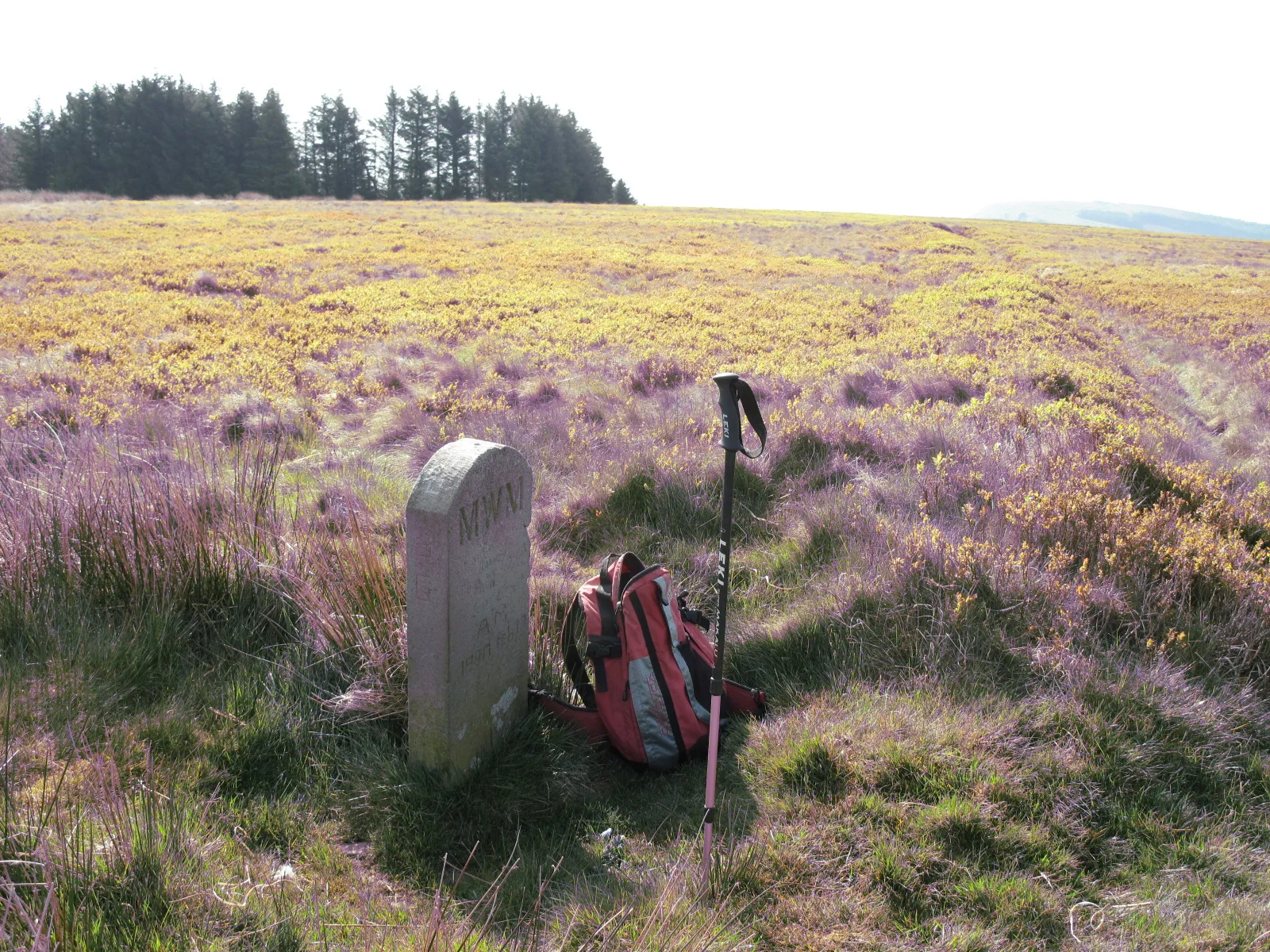 Photo showing: Mynydd y Lan