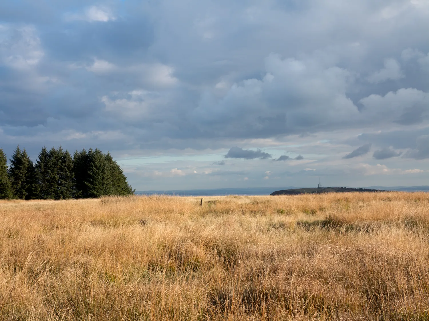 Photo showing: Summit area of Mynydd y Lan