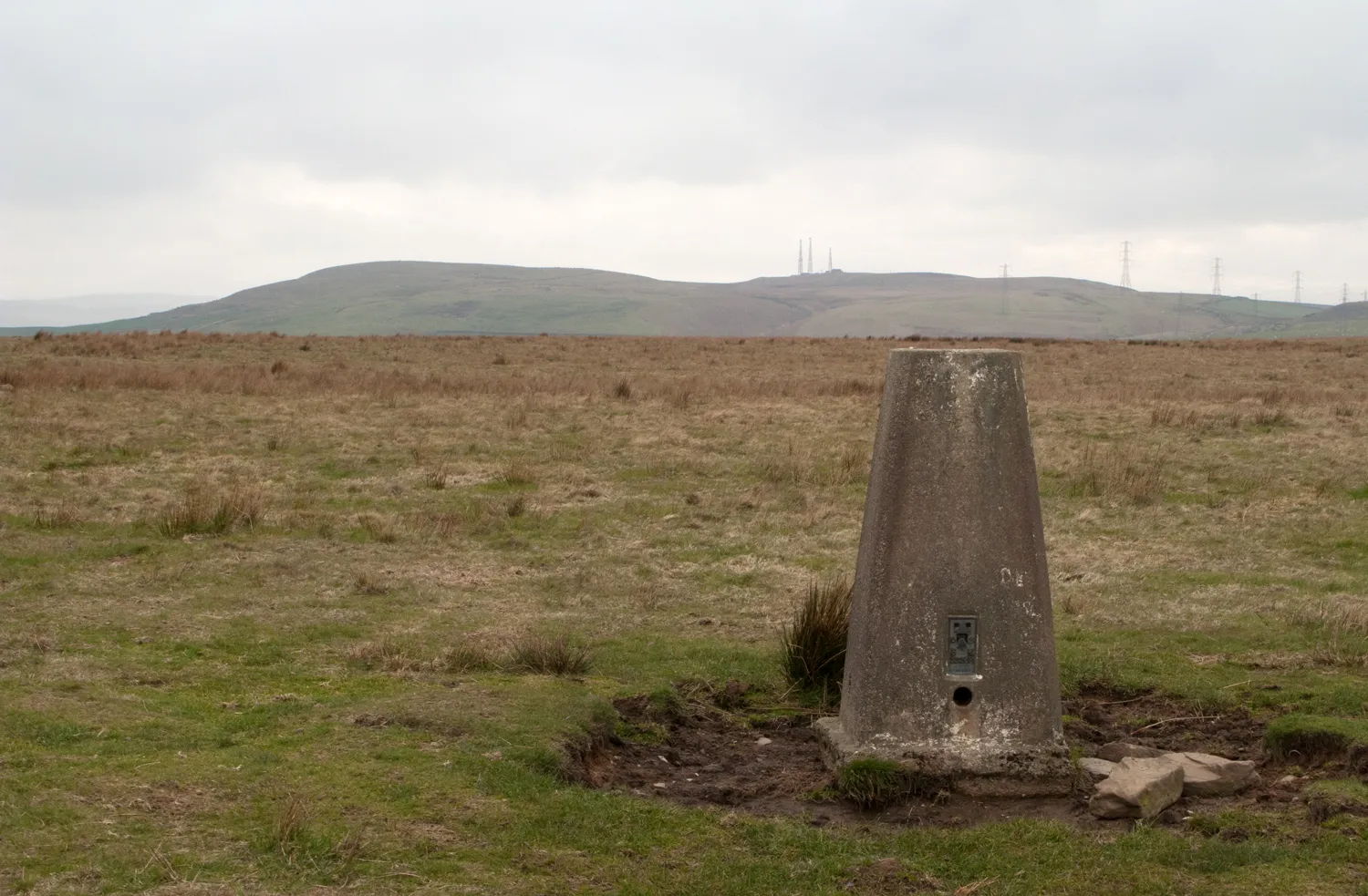 Photo showing: Summit area of Mynydd Meio with trig point