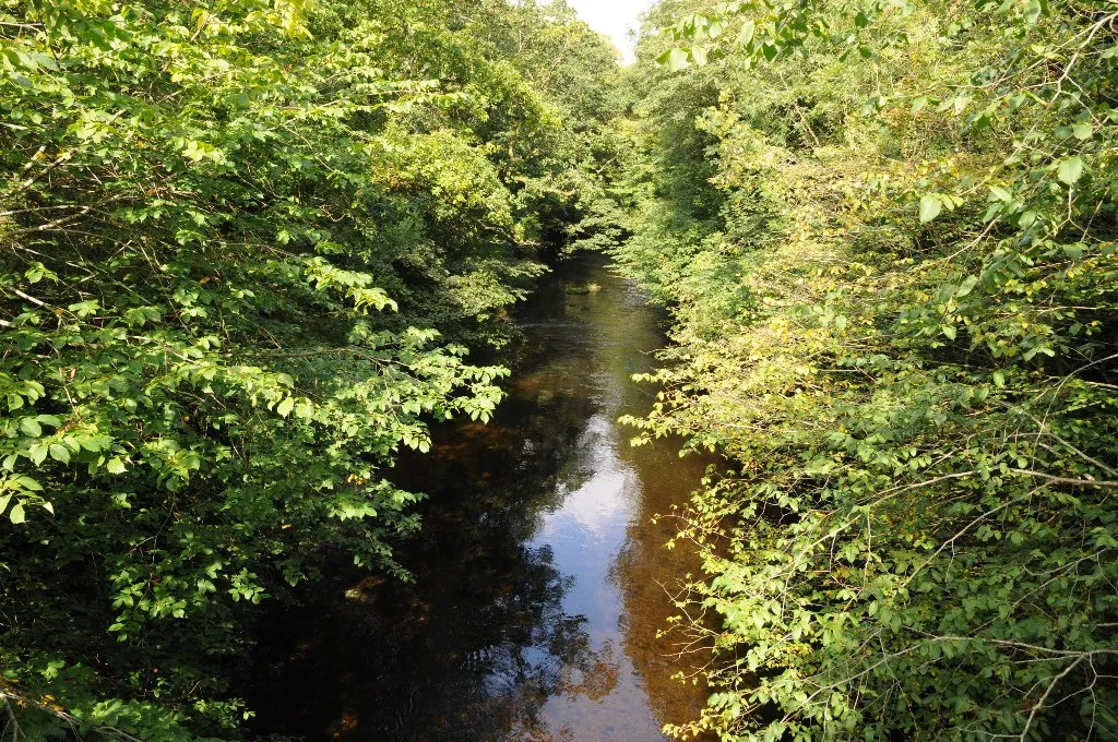 Photo showing: Afon Twyi/Towey