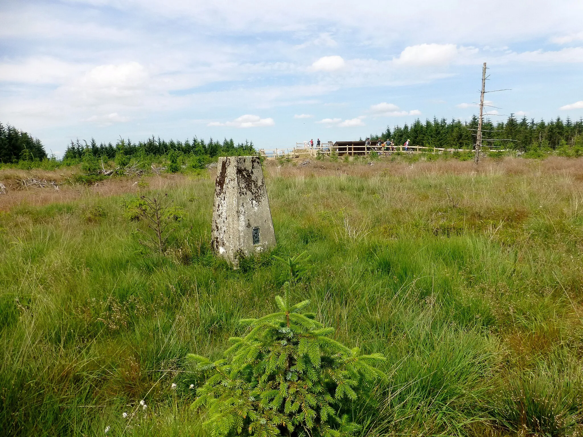 Photo showing: Mynydd Gethin