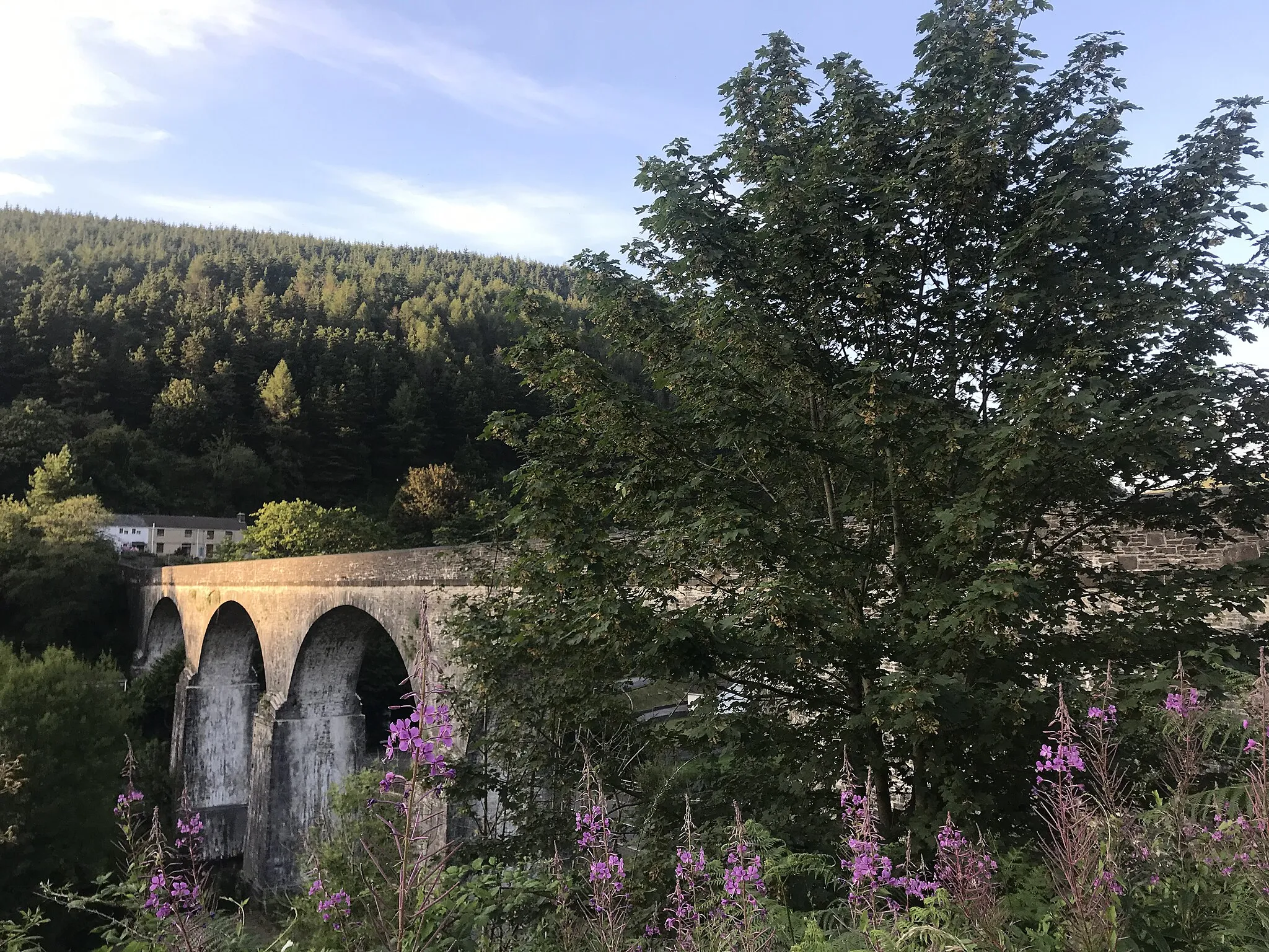 Photo showing: Y Bont Fawr Aquaduct - Pontrhydyfen. Photo taken by Chris McGrath on 28th July 2019 from the short path at the South West end of the Aqueduct at grid SS 7951 9408.