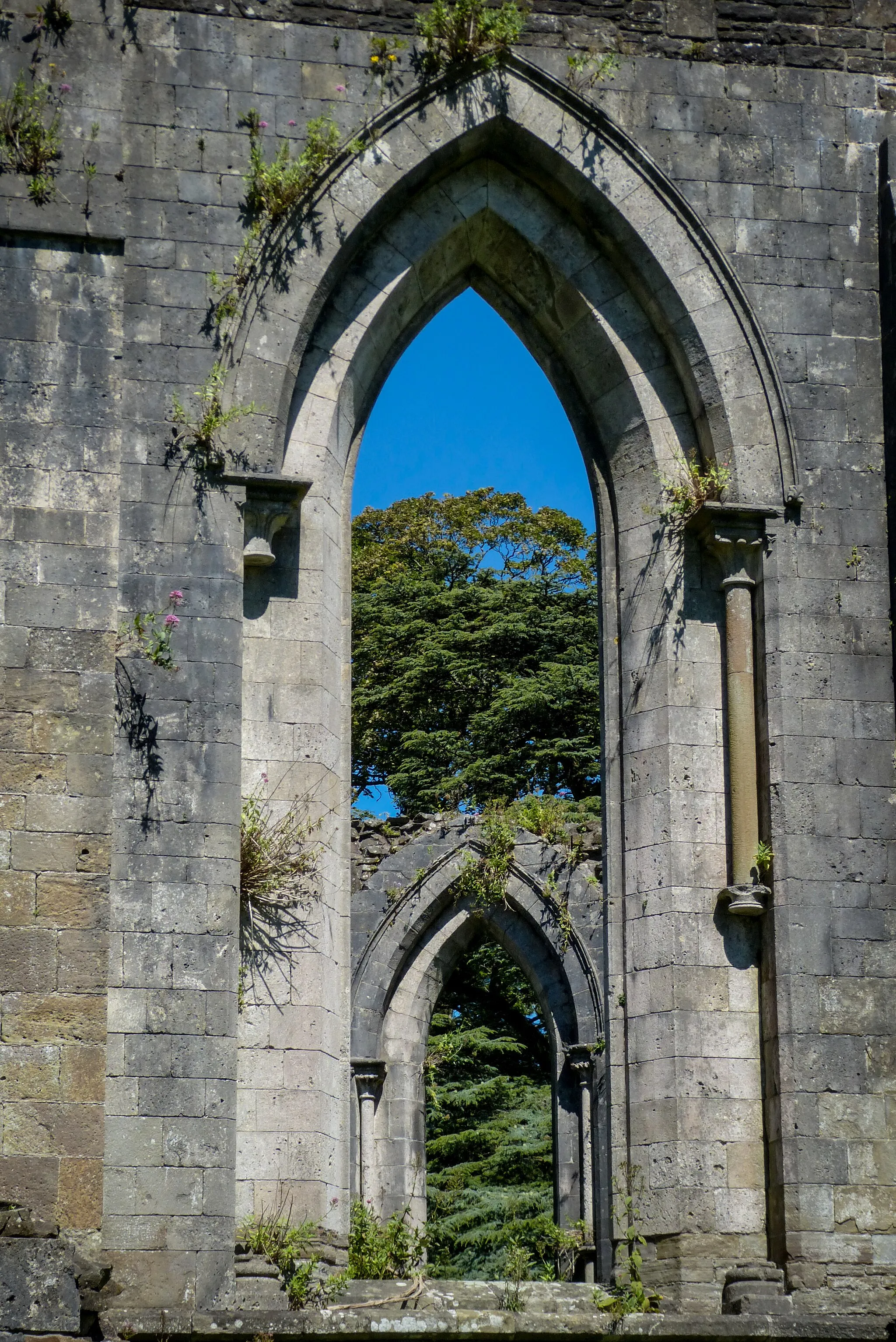 Photo showing: Margam Abbey ruin chapter house