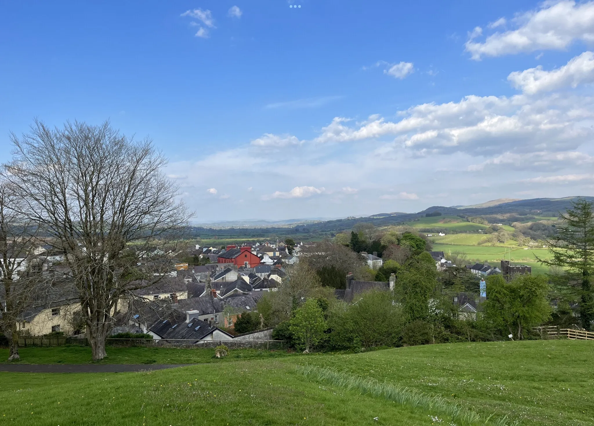 Photo showing: View of Llandeilo from Penlan Park