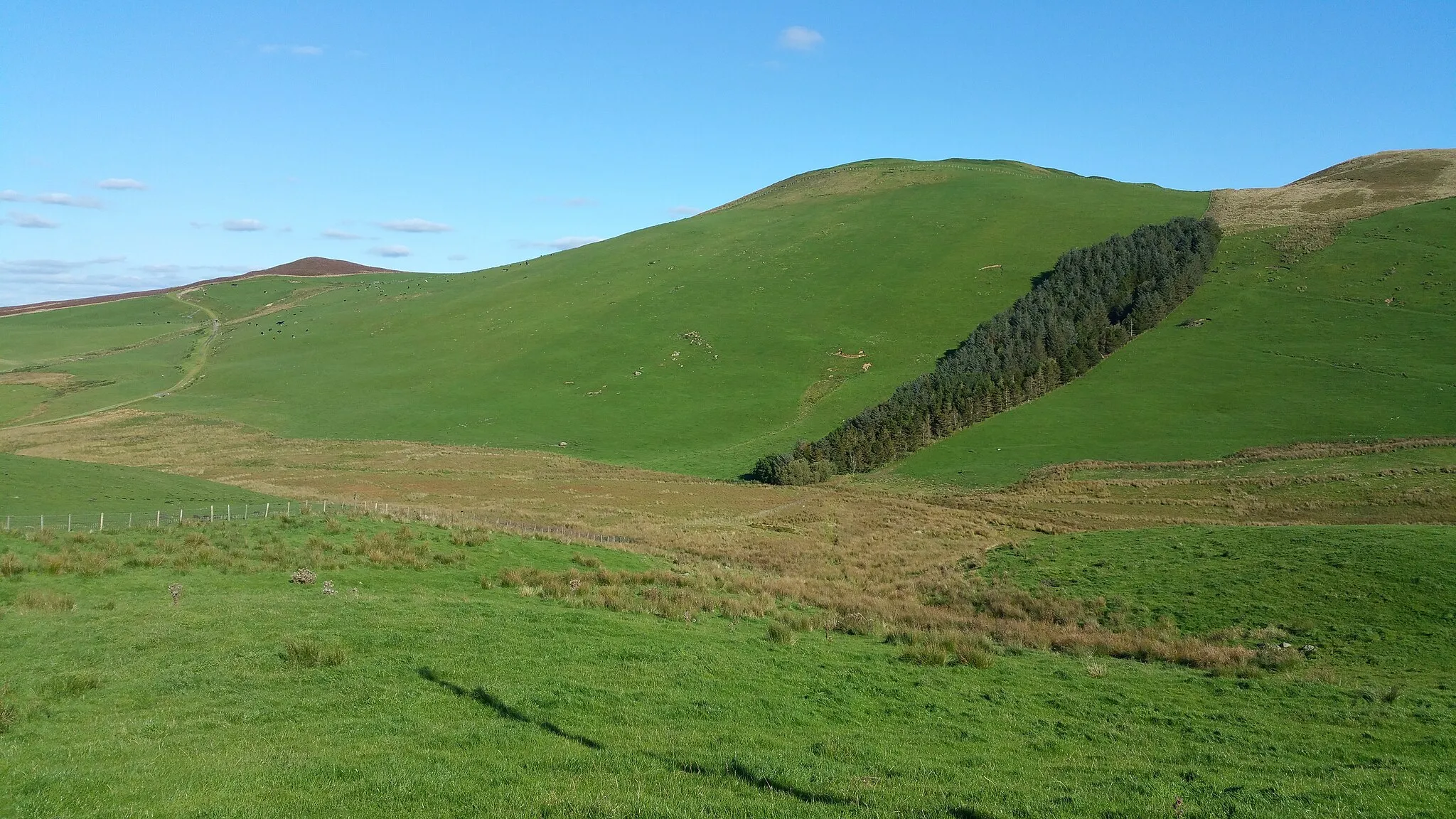Photo showing: Moel y Gydros from the Cwm Penanner road