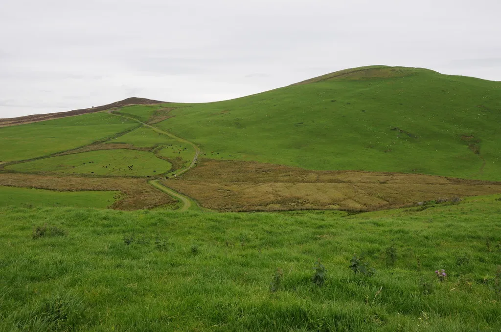 Photo showing: Moel y Gydros