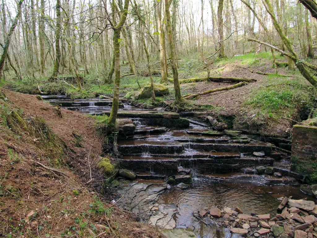Photo showing: Cascades of stream in Penllergaer Forest
