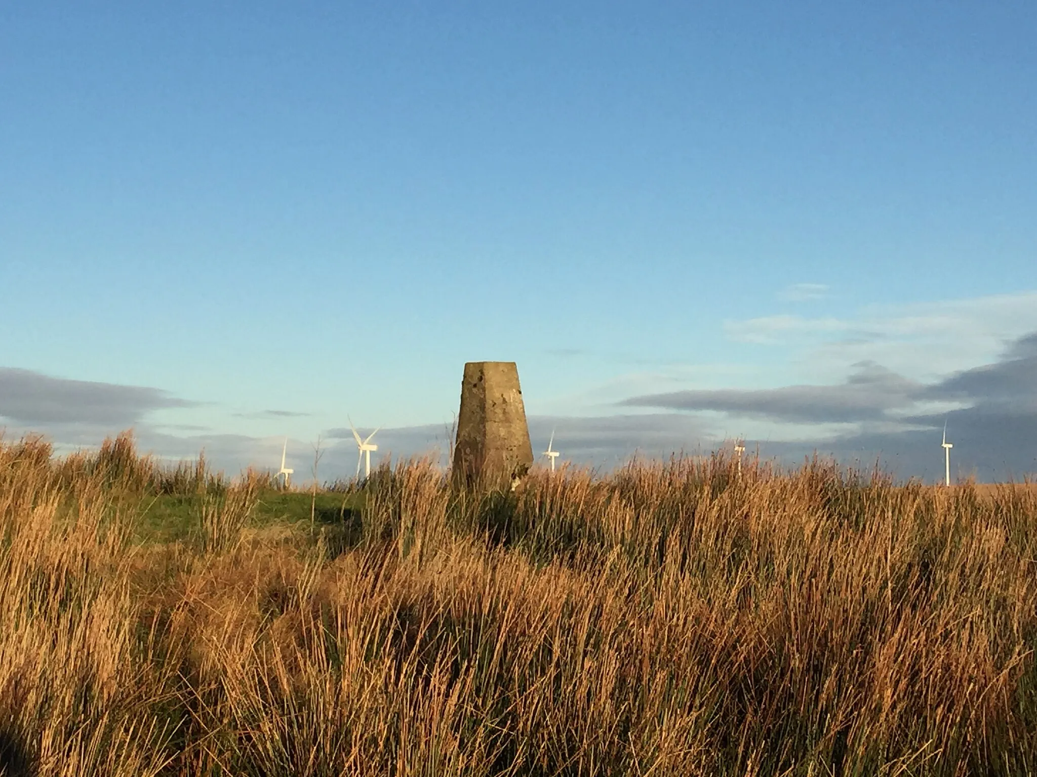 Photo showing: Trig point on Llyndwr Fawr