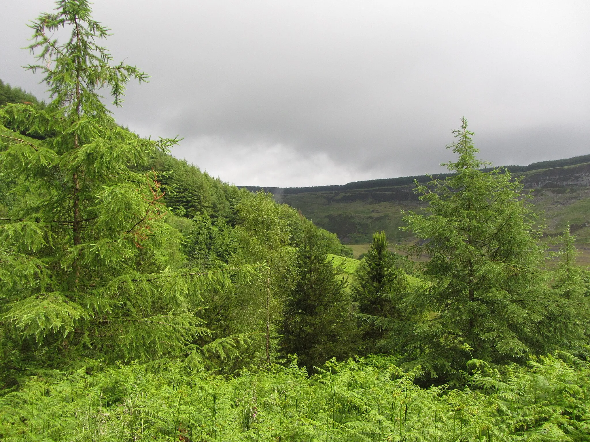 Photo showing: A break in the trees