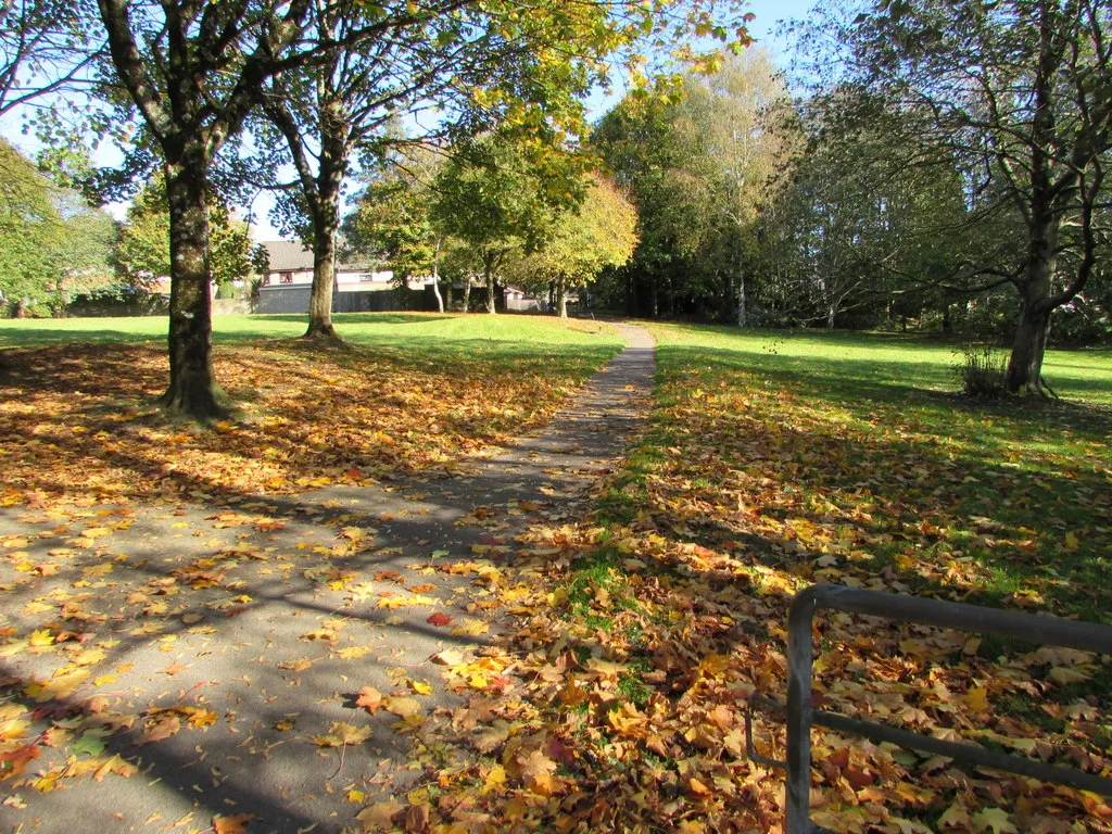 Photo showing: Fallen leaves in a small park, Bryncethin. Viewed from the park entrance from the A4065 on October 29th 2018.