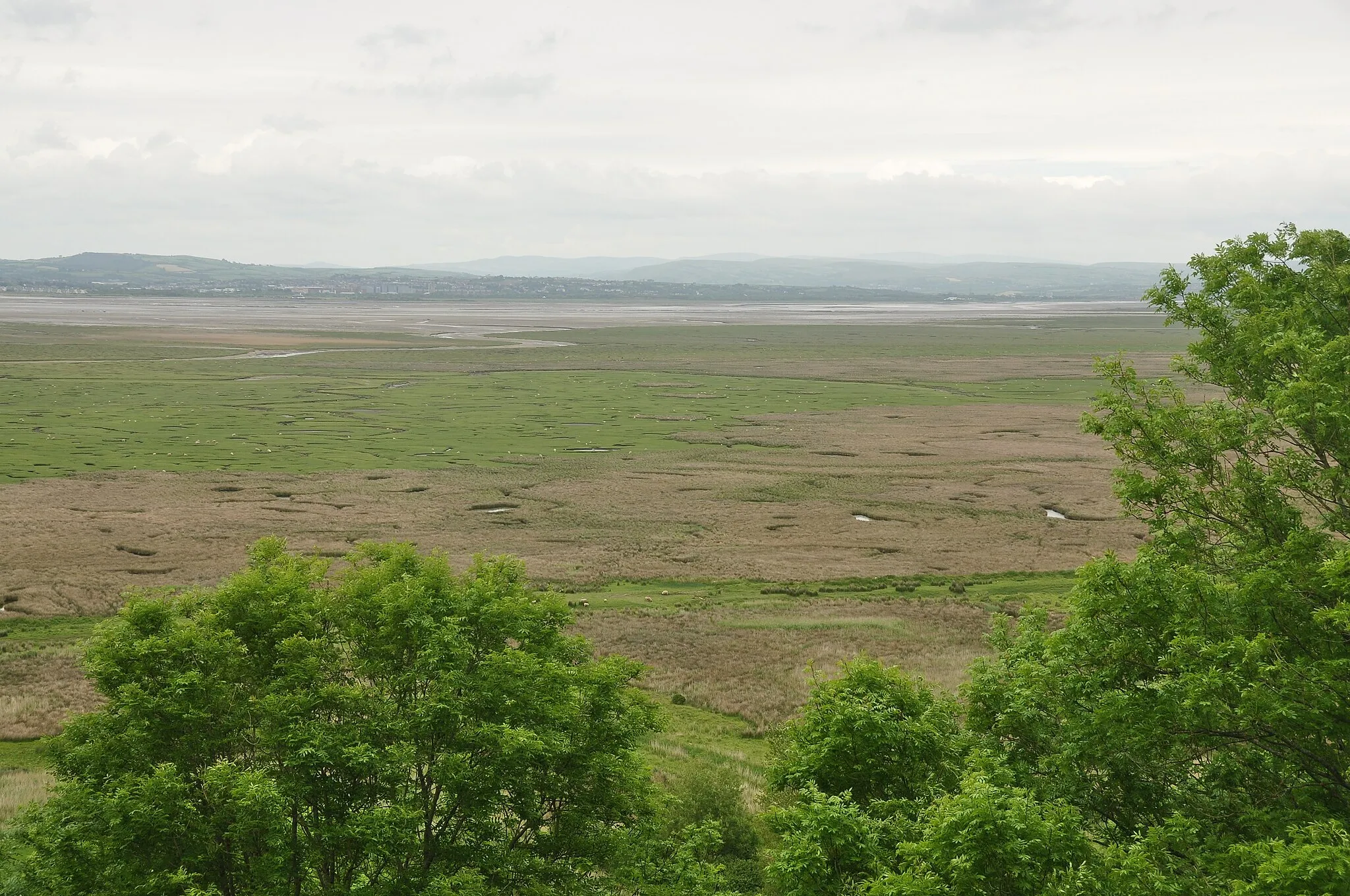 Photo showing: Llanrhidian Marsh from Weobley Castle