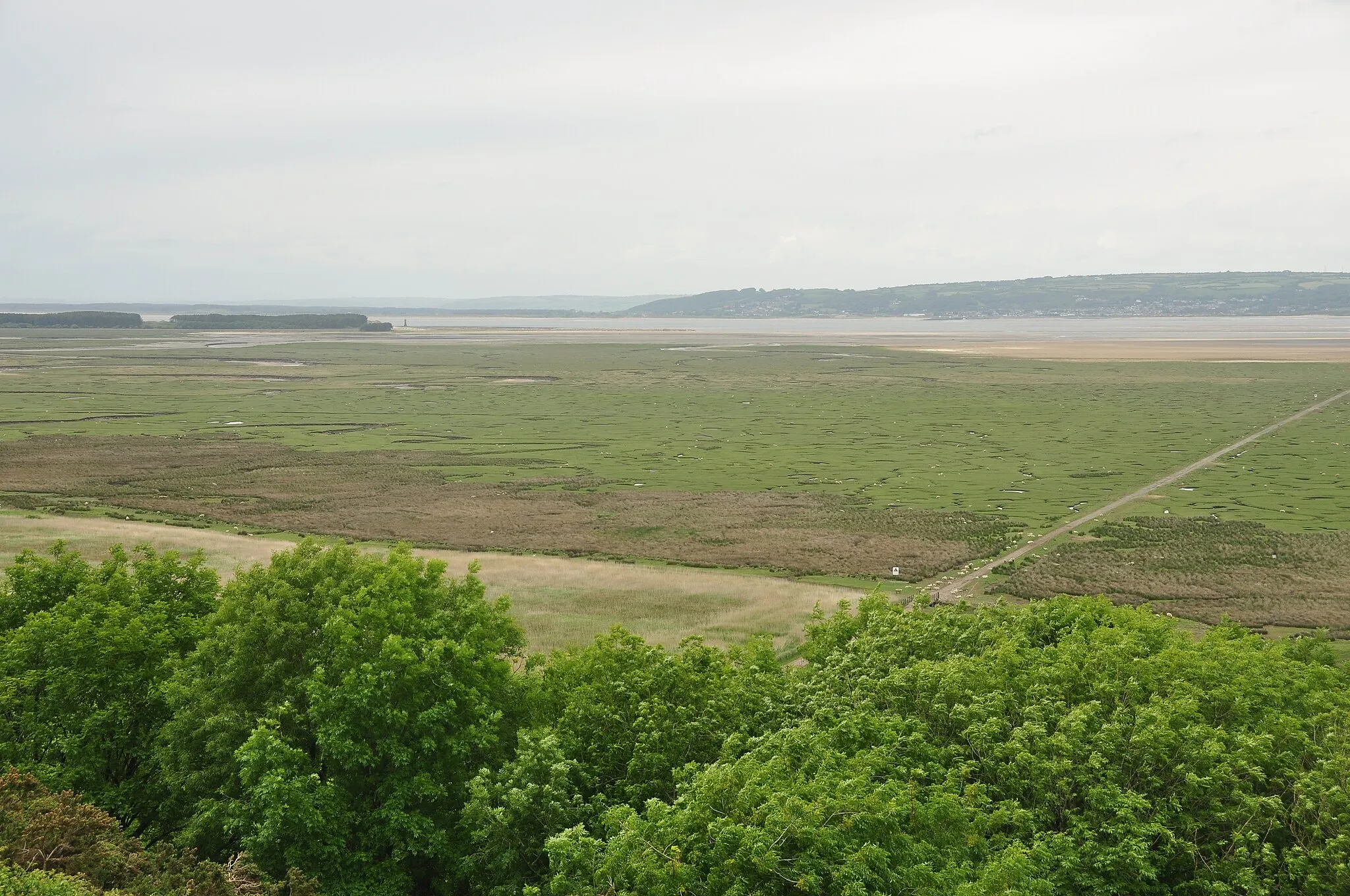 Photo showing: Llanrhidian Marsh from Weobley Castle