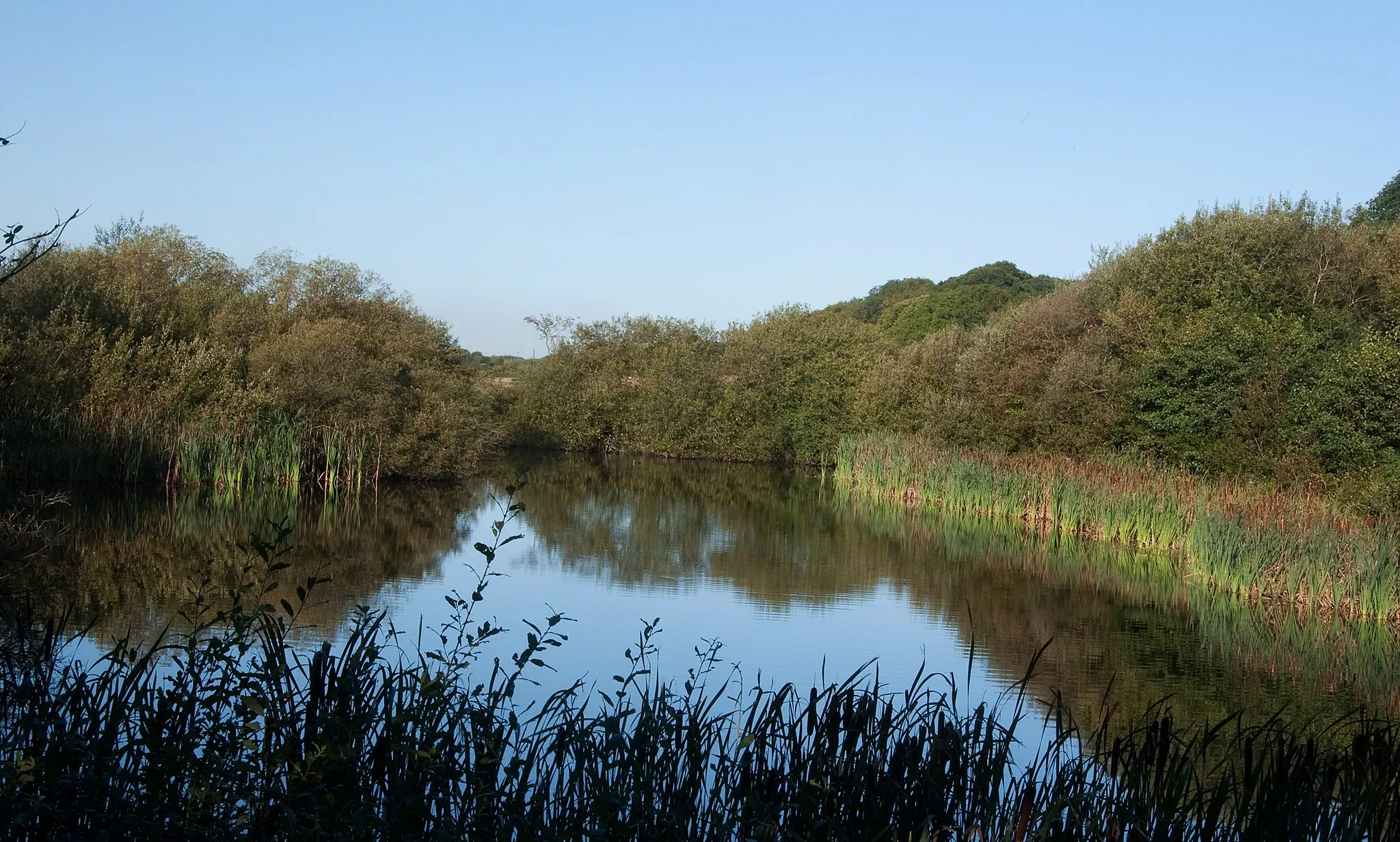 Photo showing: Park Pond Nature Reserve - Tondu