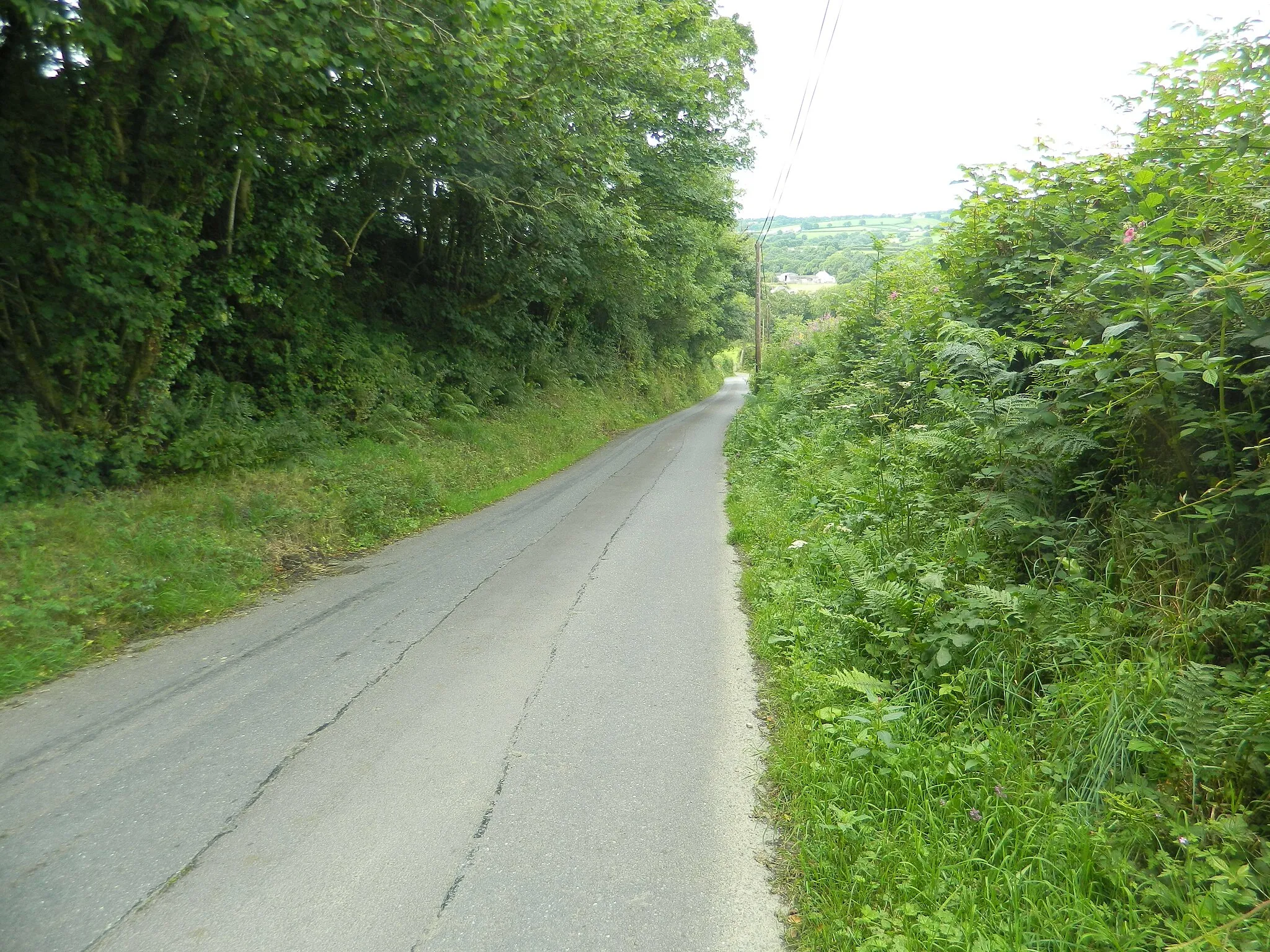 Photo showing: Approaching Llanpumsaint from the south-east