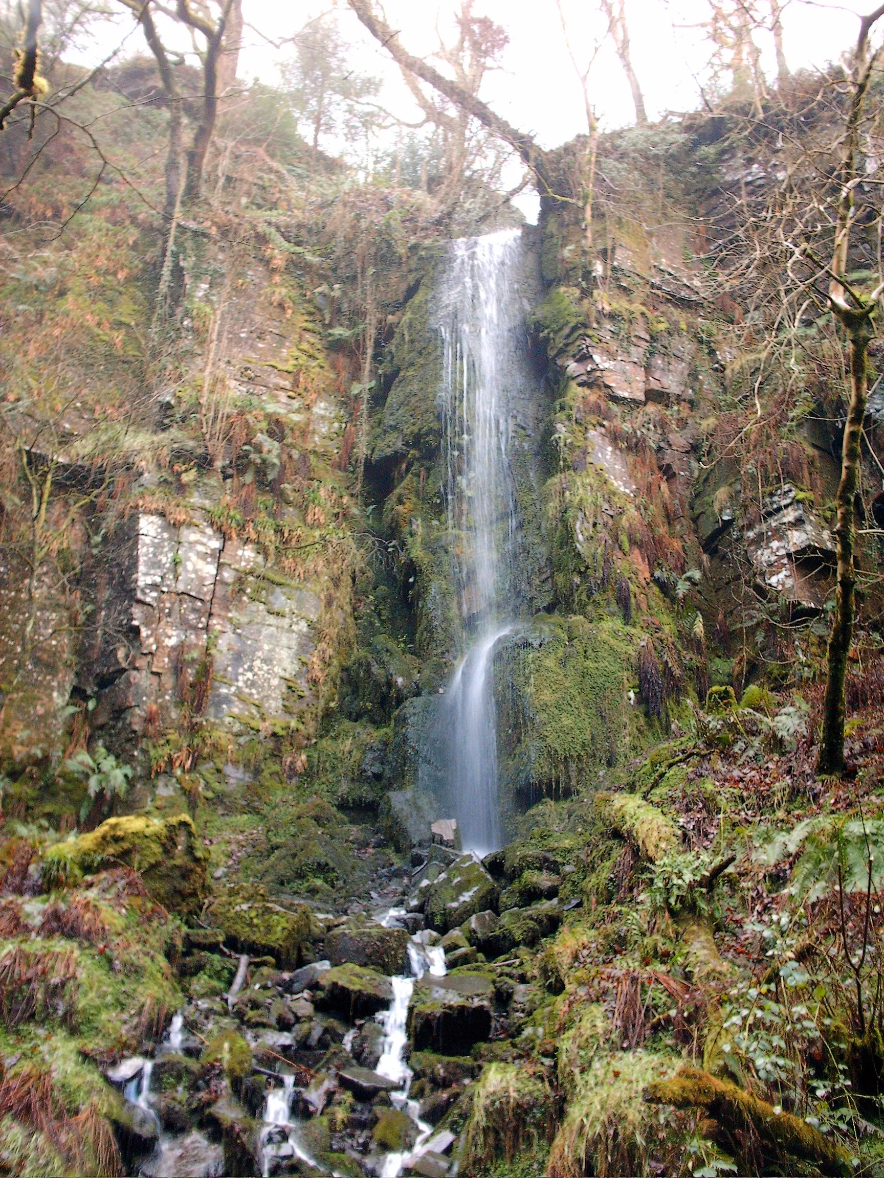 Photo showing: Depicted place: Melincourt Falls