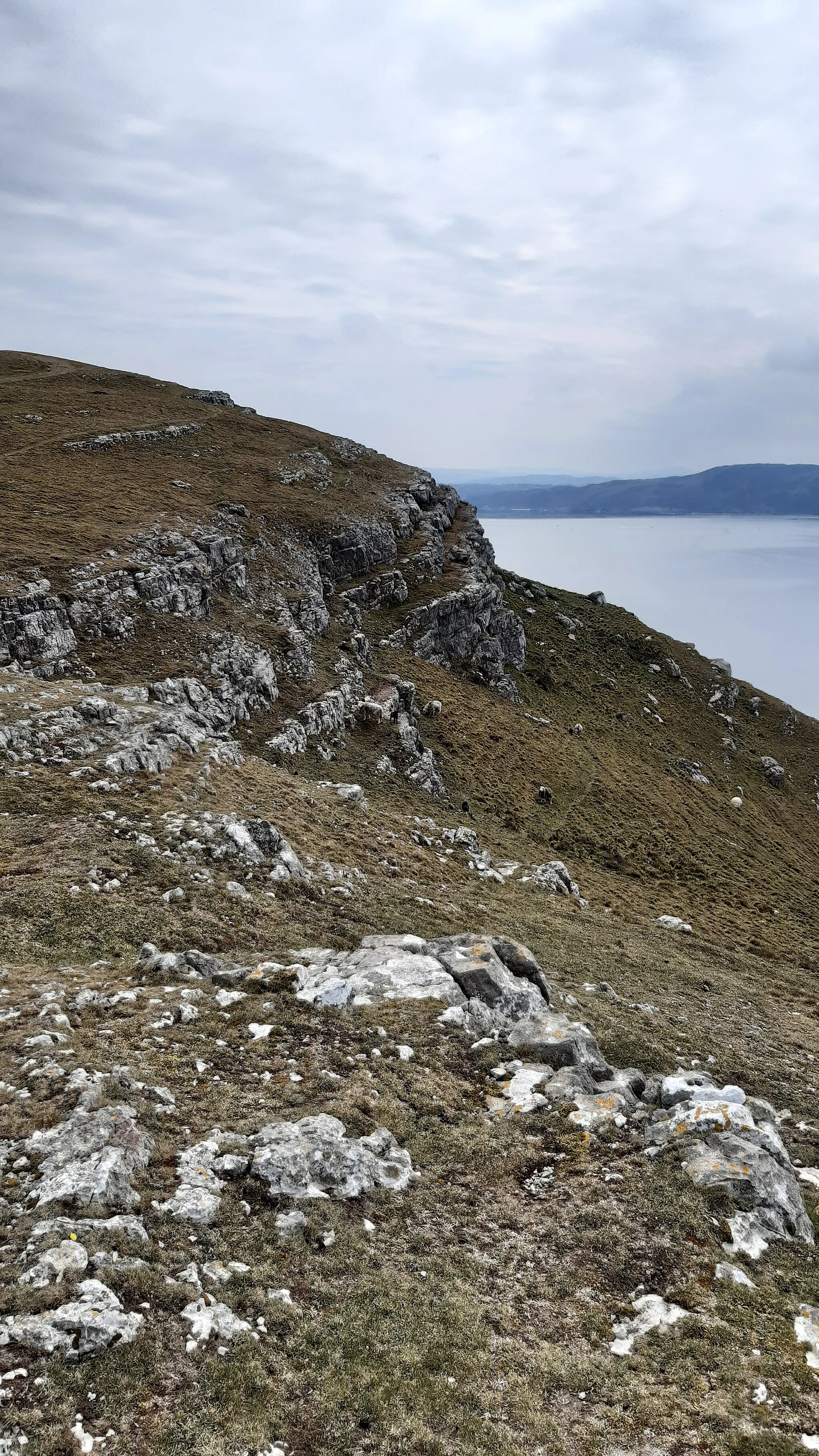 Photo showing: North-side of the Great Orme, looking over at Penmaen-Bach and the Conwy Valley, Llandudno