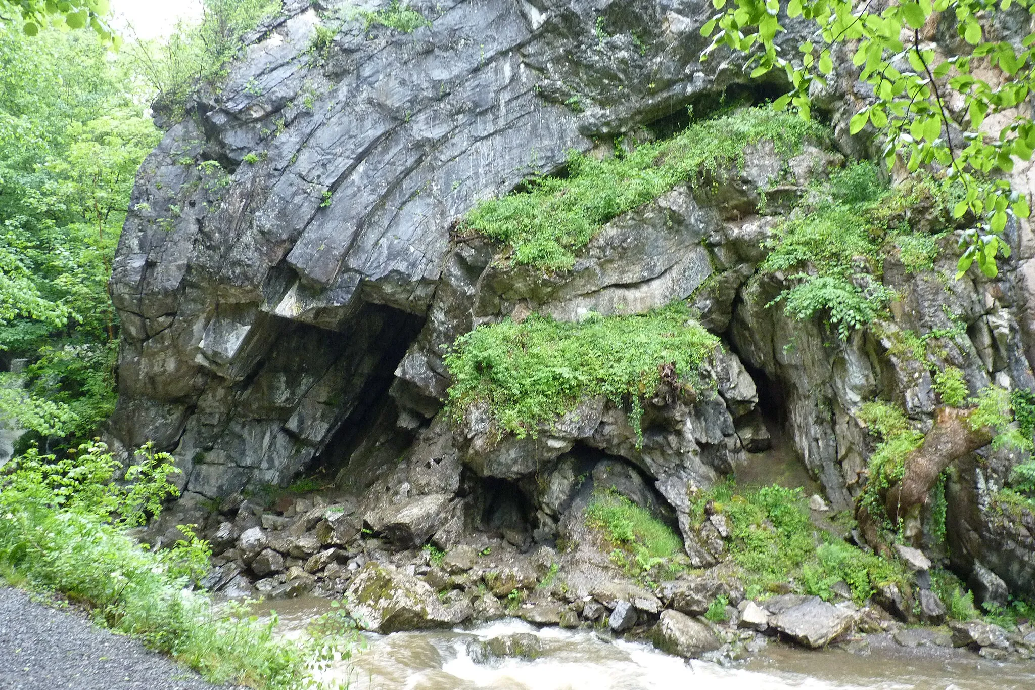 Photo showing: Bwa Maen (The Stone Bow) shows the extreme folding of rock along the Dinas Fault. This is the best place to see the effects of the Neath Disturbance, a fault line running from Hereford to Swansea - the cause of the Swansea earthquake of 1906. (Details from sign board near the outcrop.)