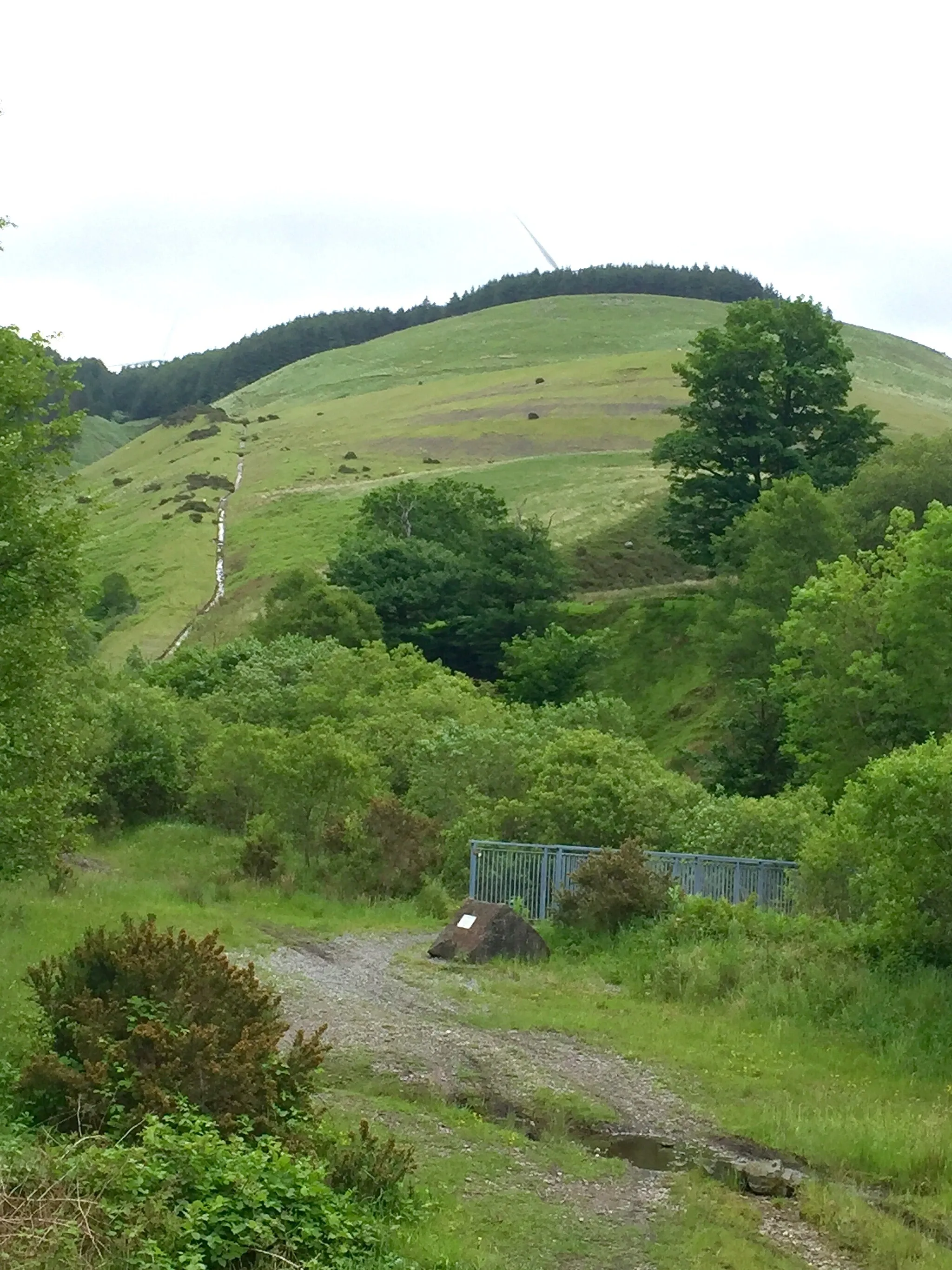 Photo showing: Moel Iorath