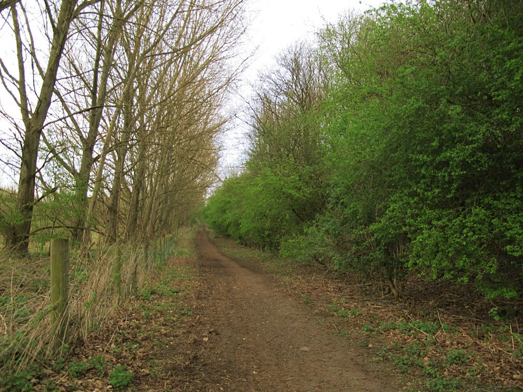 Photo showing: Bridleway towards Commondale Road