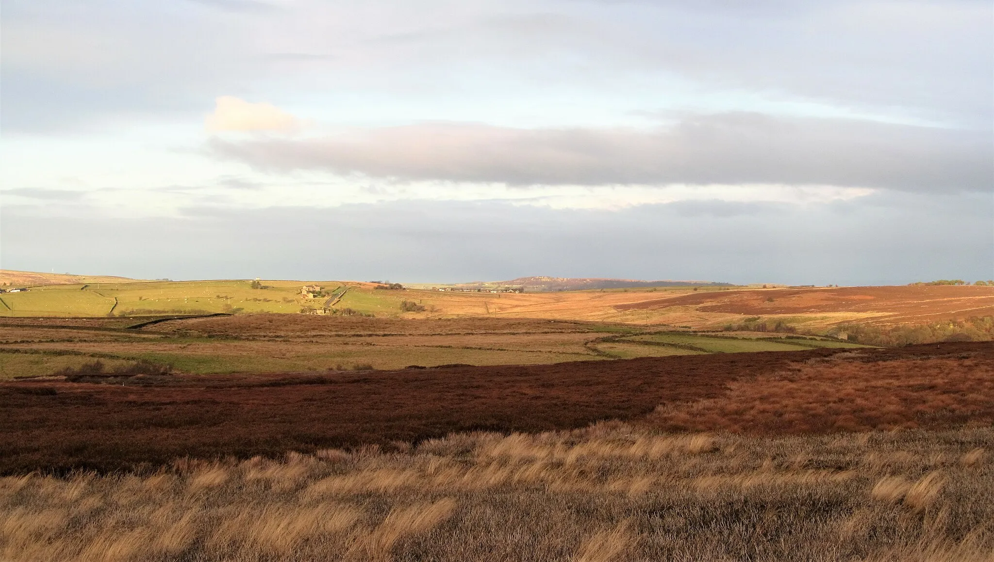 Photo showing: A moorland patchwork