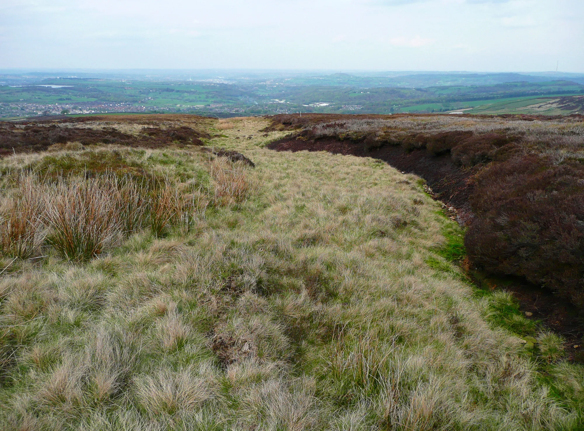 Photo showing: A tributary of Swinsey Dike on Great Green