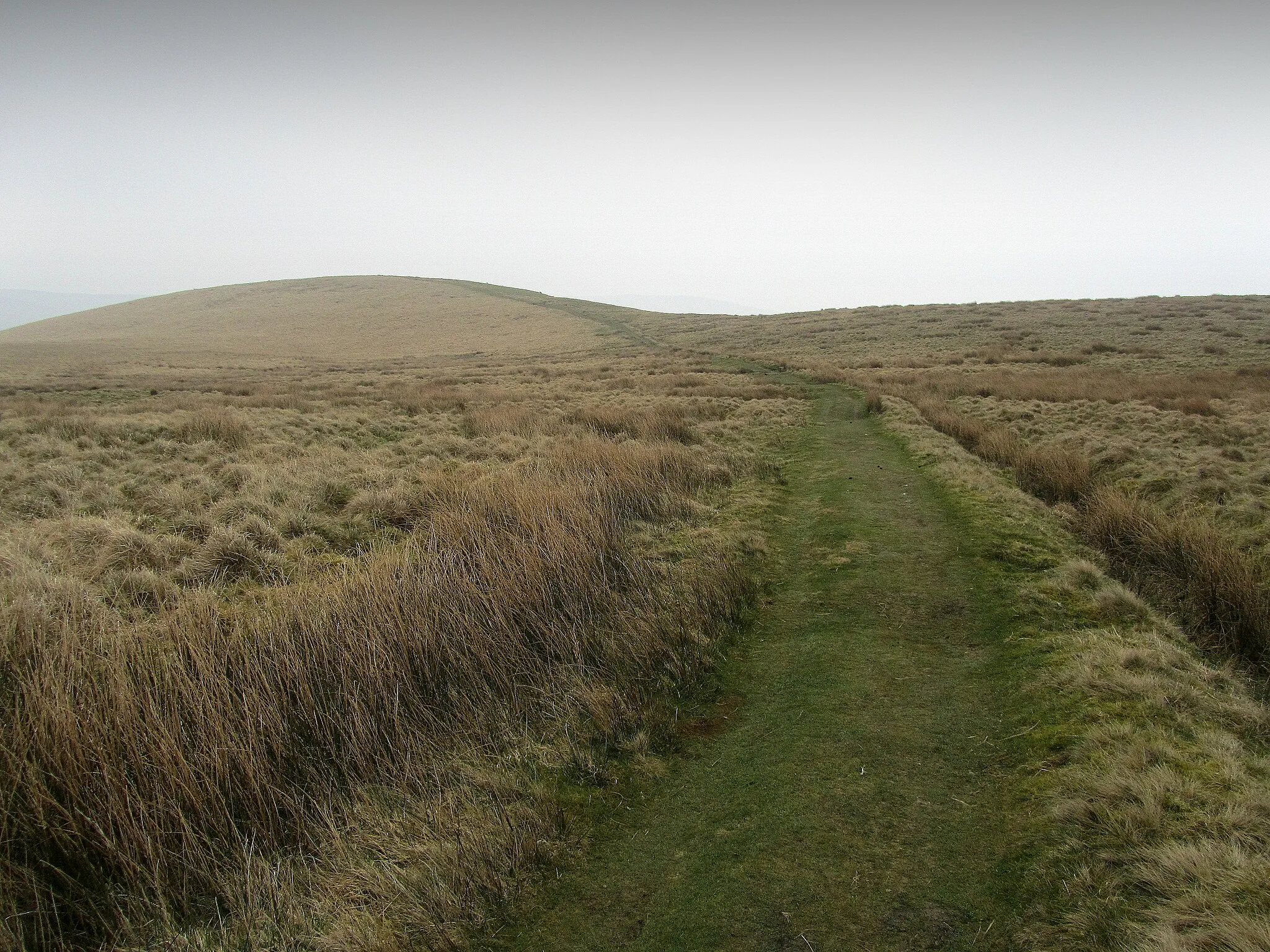 Photo showing: Middle Hare Head