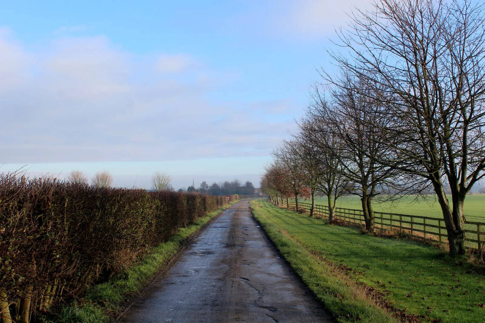 Photo showing: Access Lane to Widdington Grange