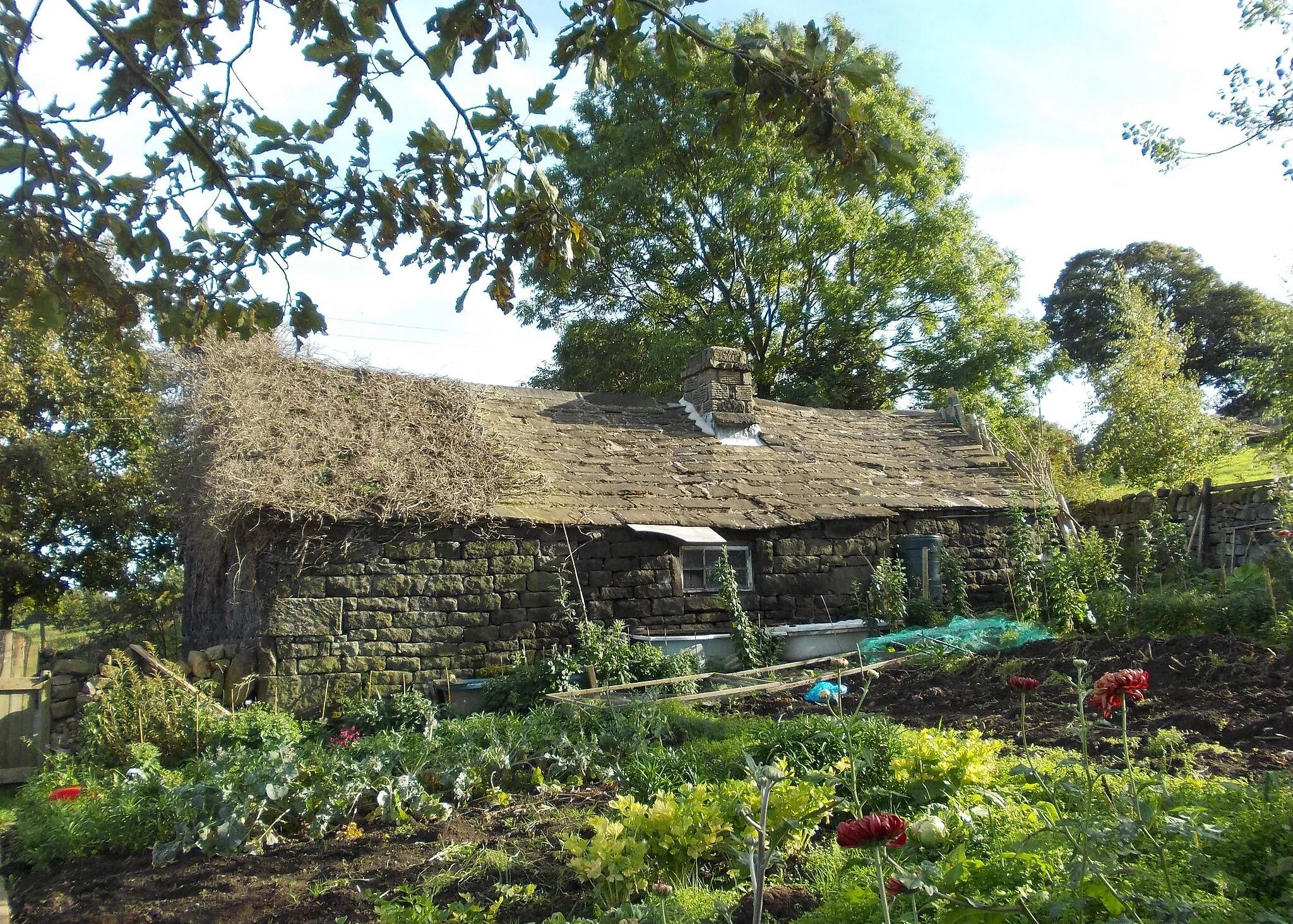 Photo showing: Cottage garden in Midhopestones