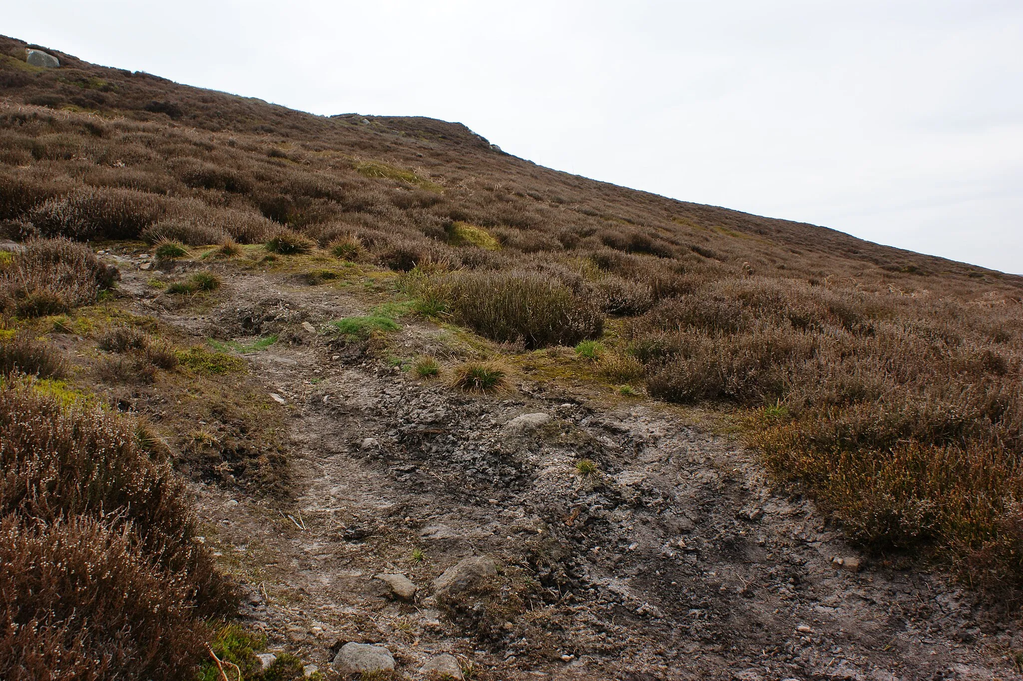 Photo showing: An unnamed top, just labelled "cairn" by the OS