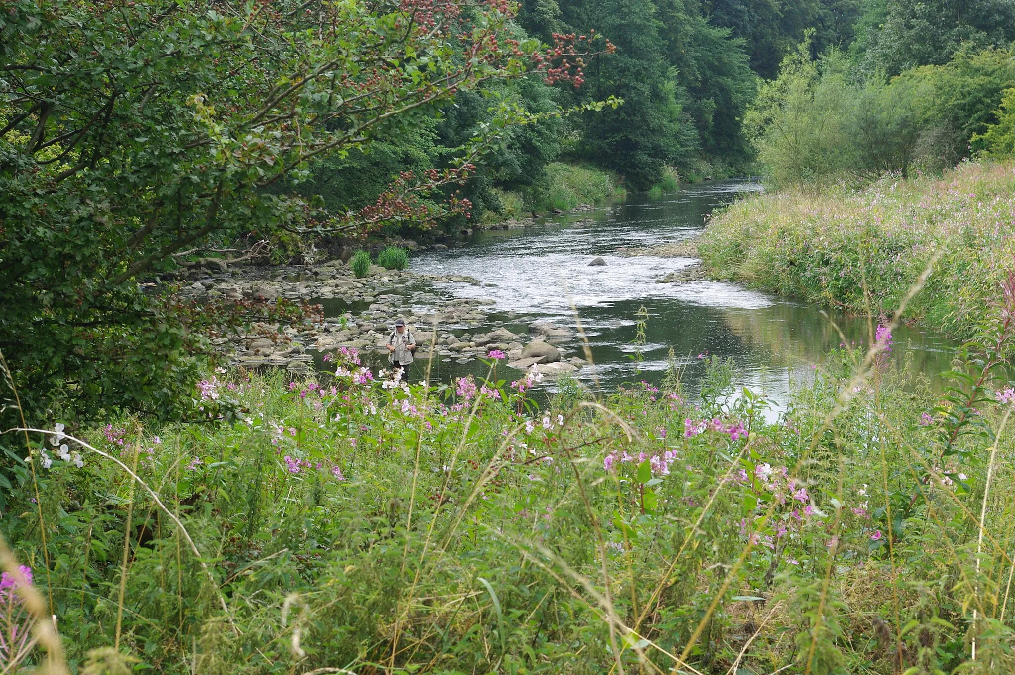 Photo showing: River Calder, Gawthorpe hall