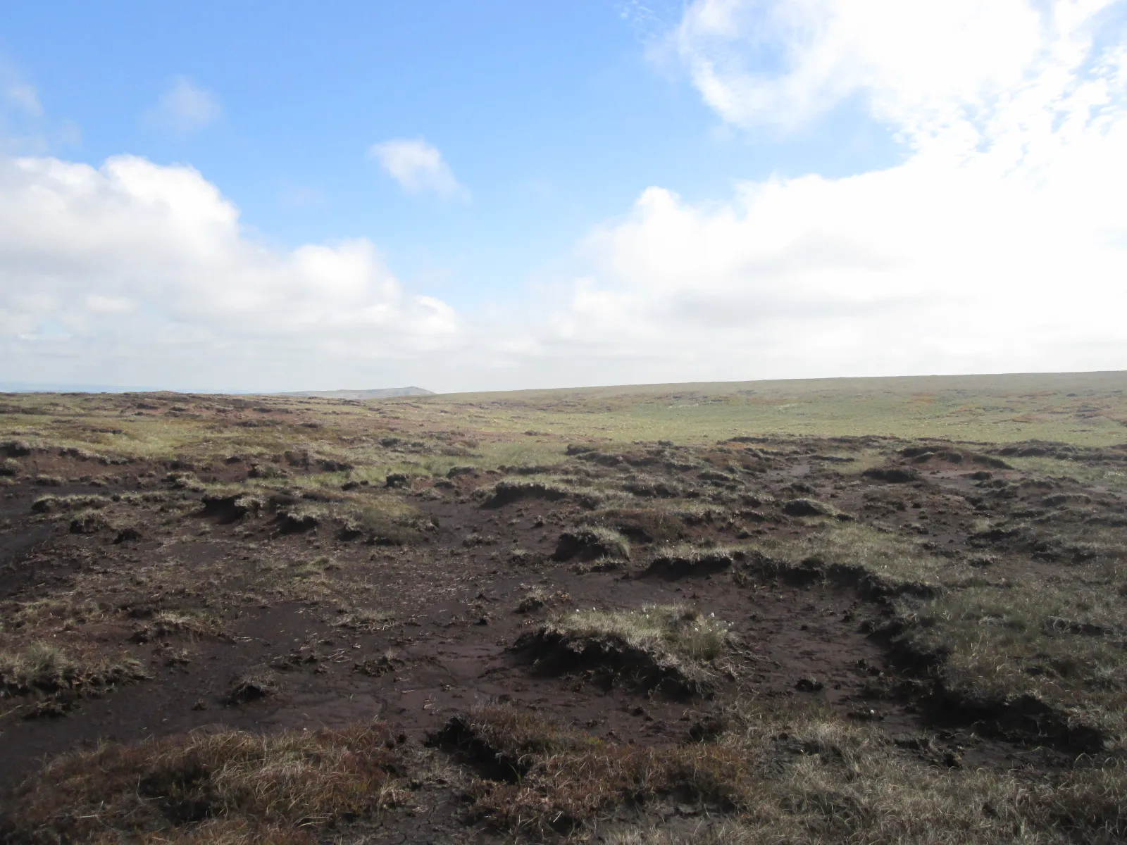 Photo showing: Dean Head Moss