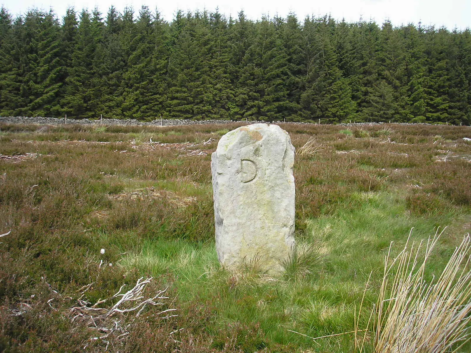 Photo showing: Boundary stone